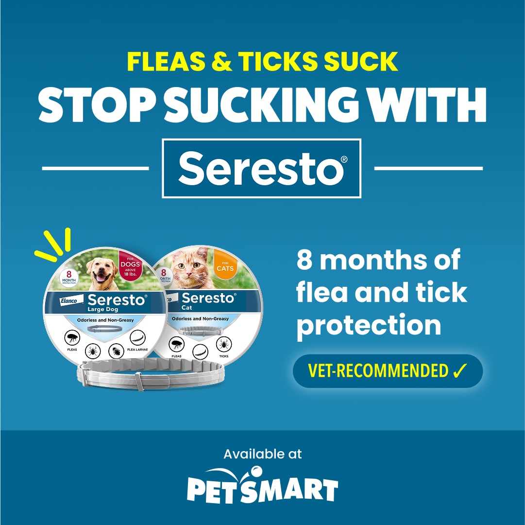PetSmart Facebook ad
