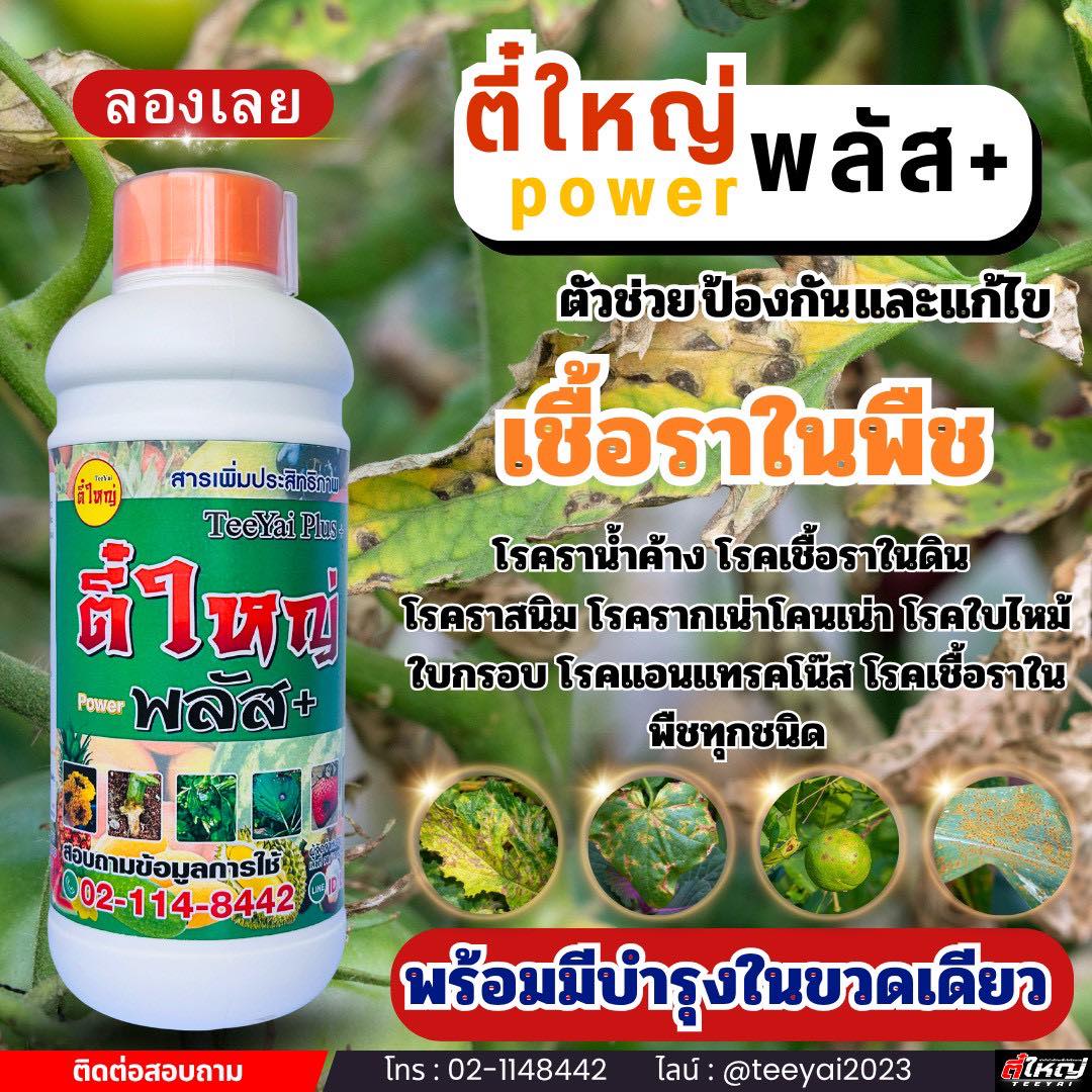 กำจัดโรคเพลี้ยไฟไรแดง โดยตี๋ใหญ่ Facebook ad: หยุดวงจร เชื้อรา รากเน่า โคนเน่า ใบไหม้.