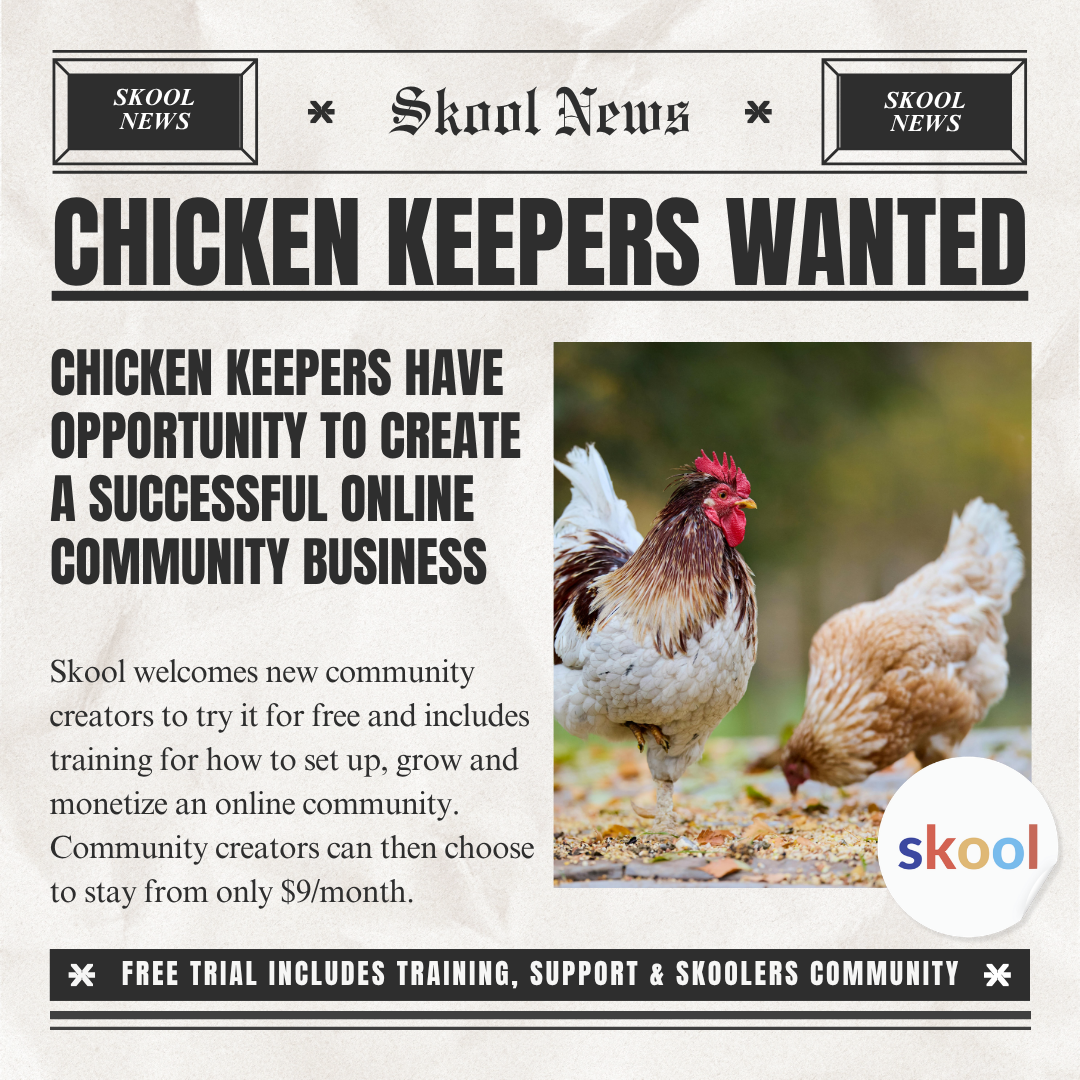 Skool Facebook ad