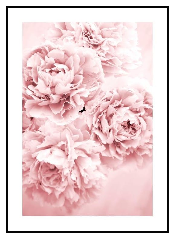 Poster Store Facebook ad
