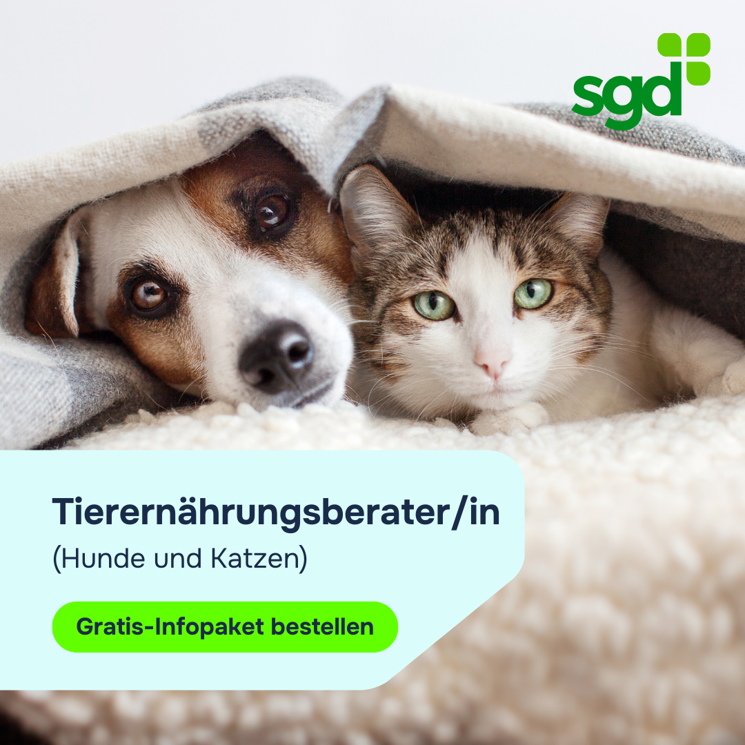 SGD Studiengemeinschaft Darmstadt Facebook ad