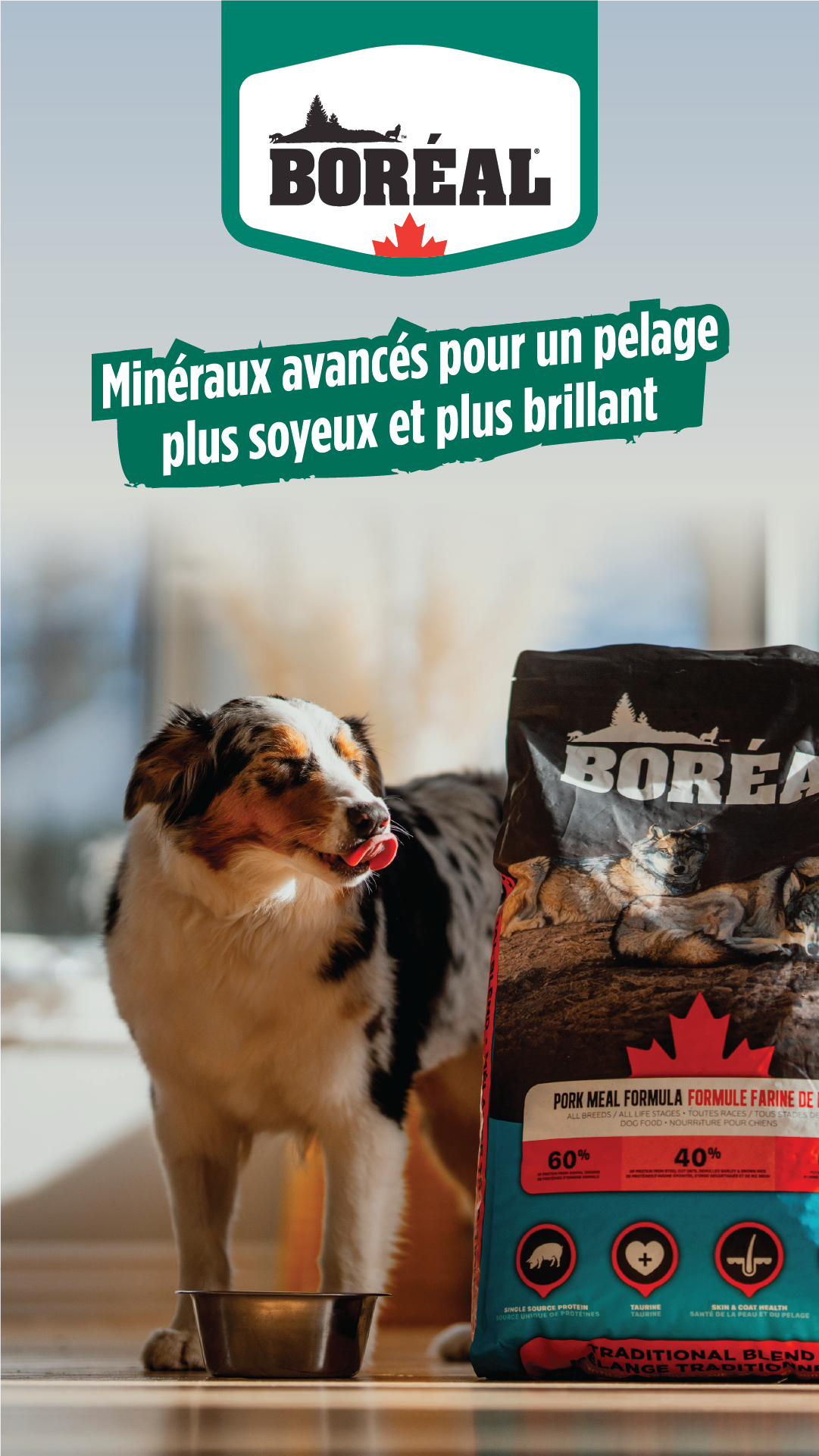 Boréal Pet Food Facebook ad