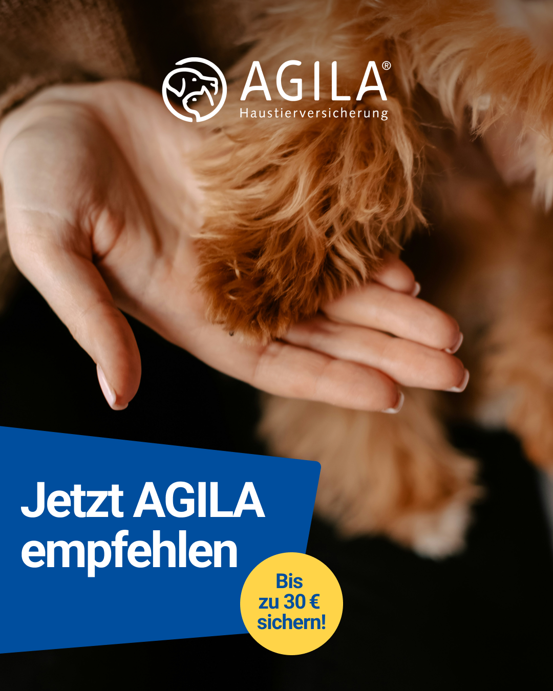 AGILA Haustierversicherung Facebook ad