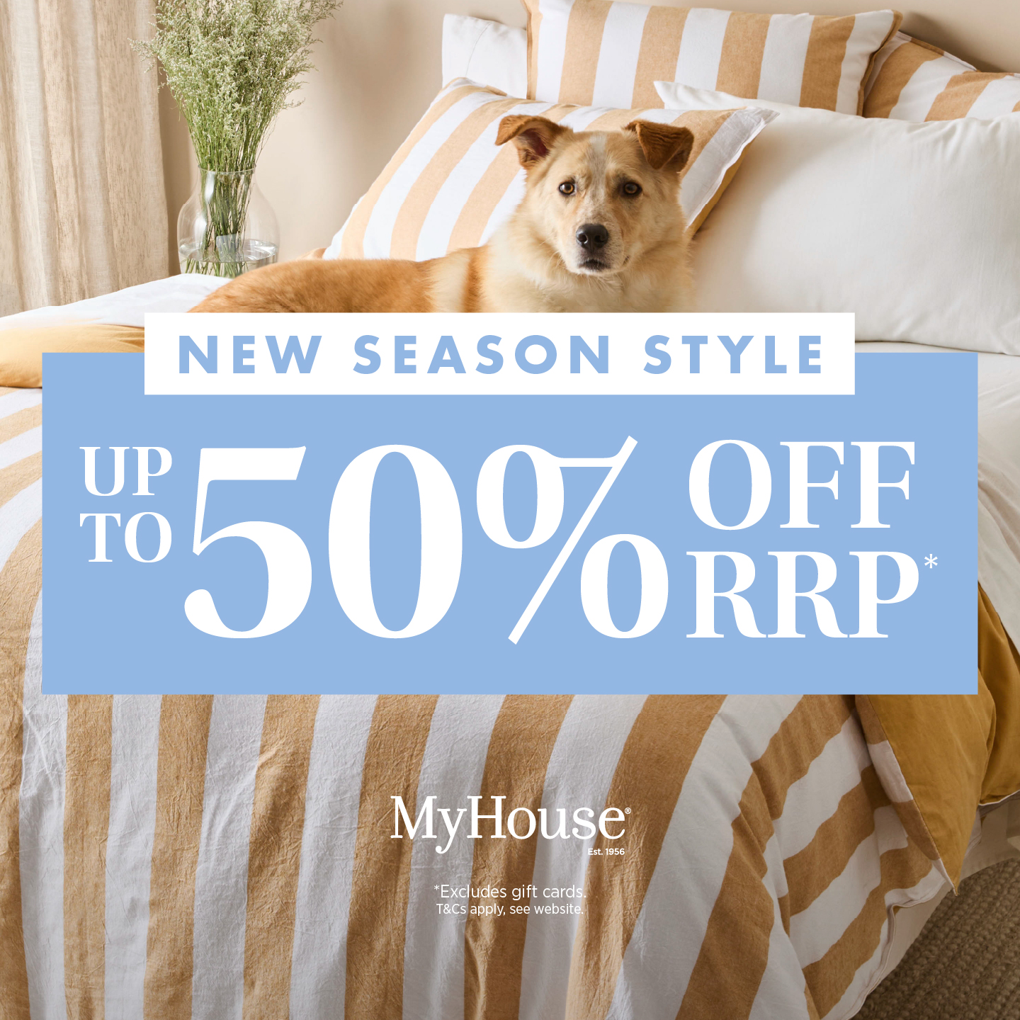 MyHouse Facebook ad