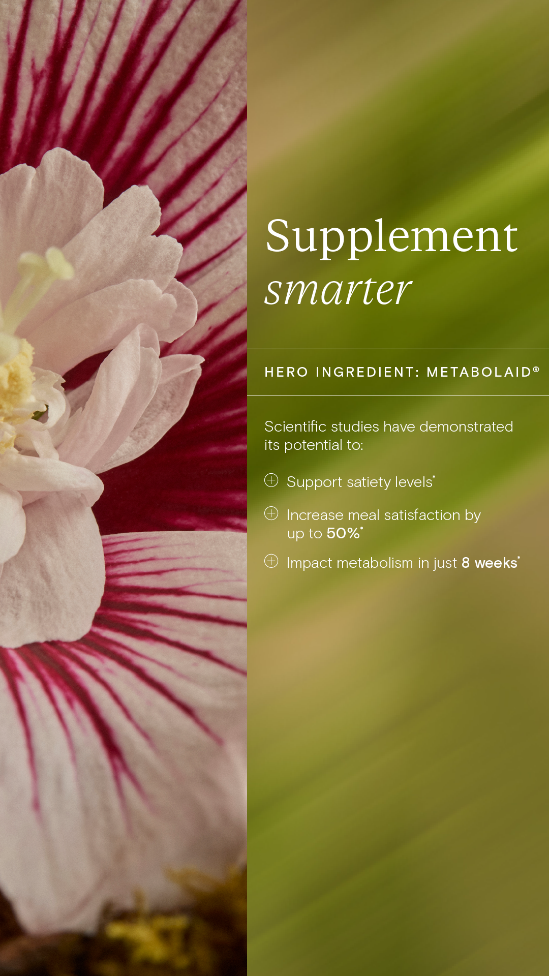 Wild Nutrition Facebook ad