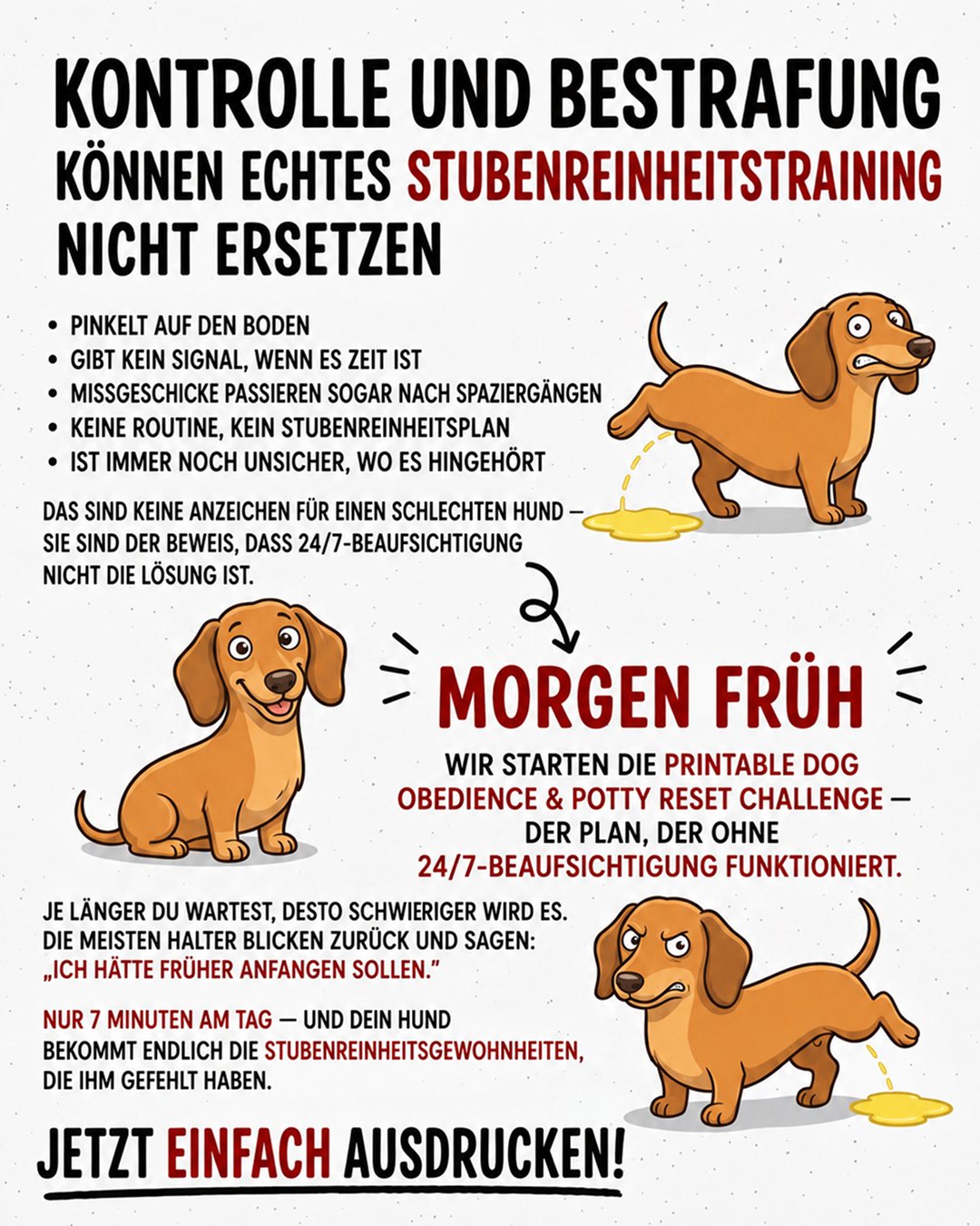 Ben Your Puppy Trainer Facebook ad
