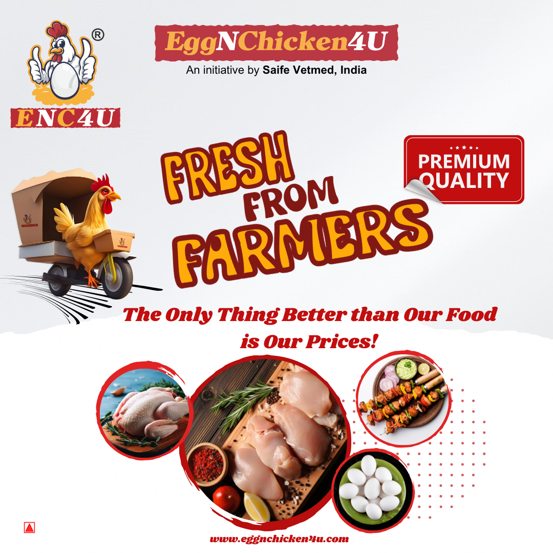 Eggnchicken4u Facebook ad: Buy Farm Fresh Eggs And Chicken at Best Price|Free…