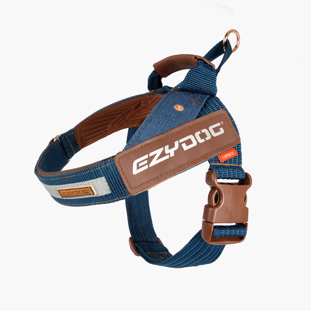 EzyDog Facebook ad