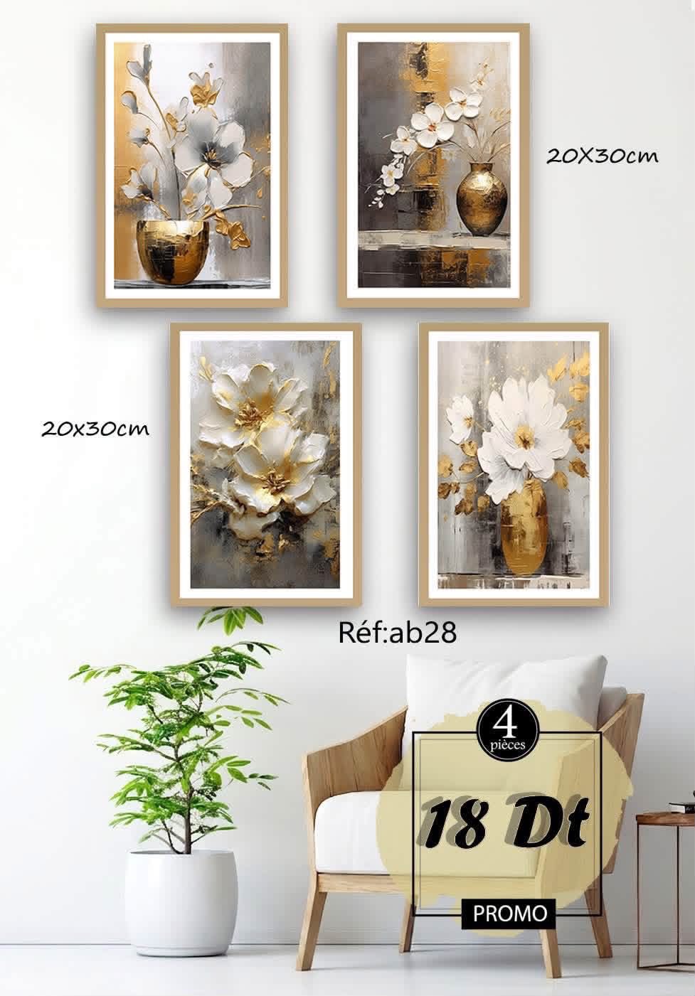 Tableau S plus + Facebook ad