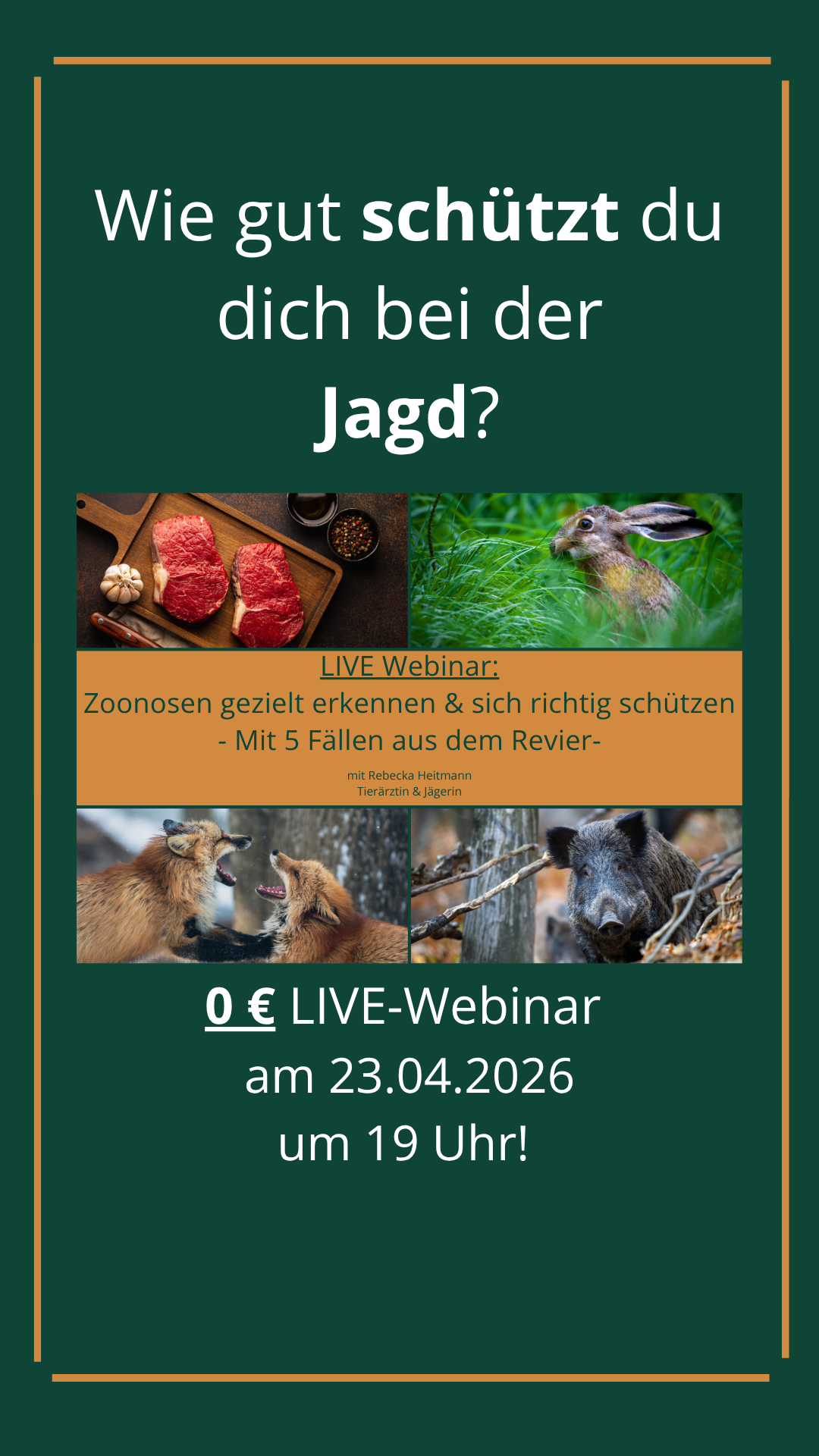 Wildkrankheiten A-Z Facebook ad from Apr 2, 2026