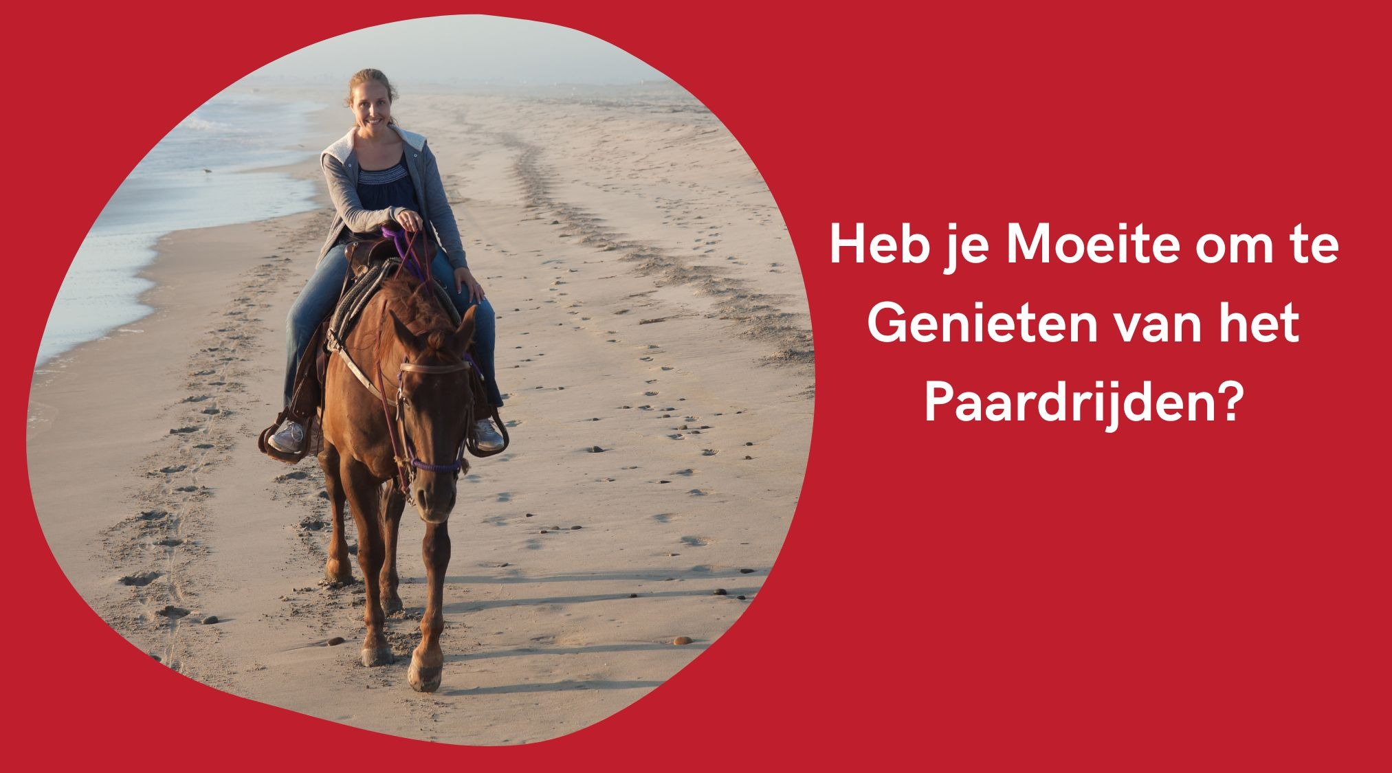 Mirror Horses Facebook ad: Van Bibber naar Badass - Ontdek De MindReset