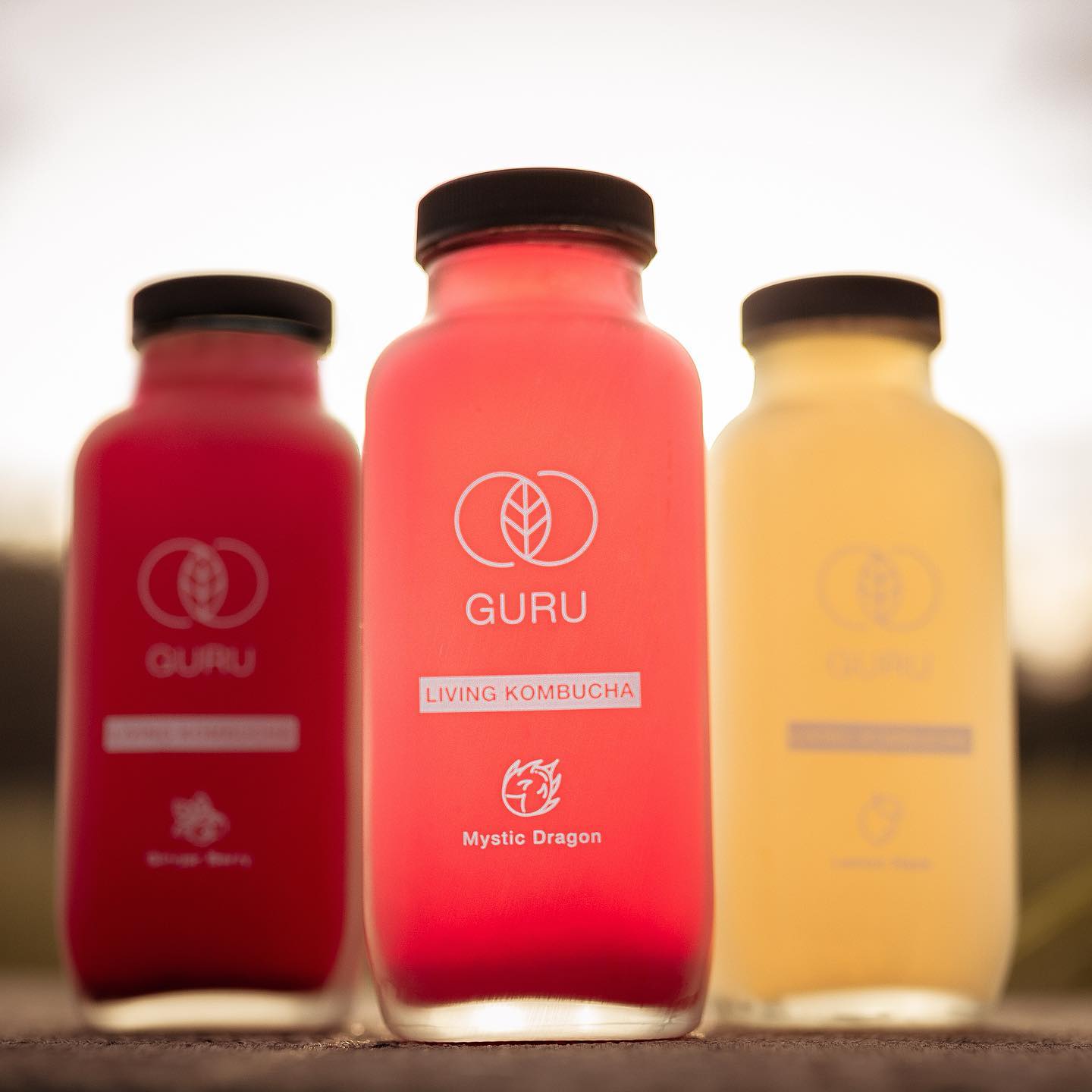 GURU Kombucha Facebook ad: Domů