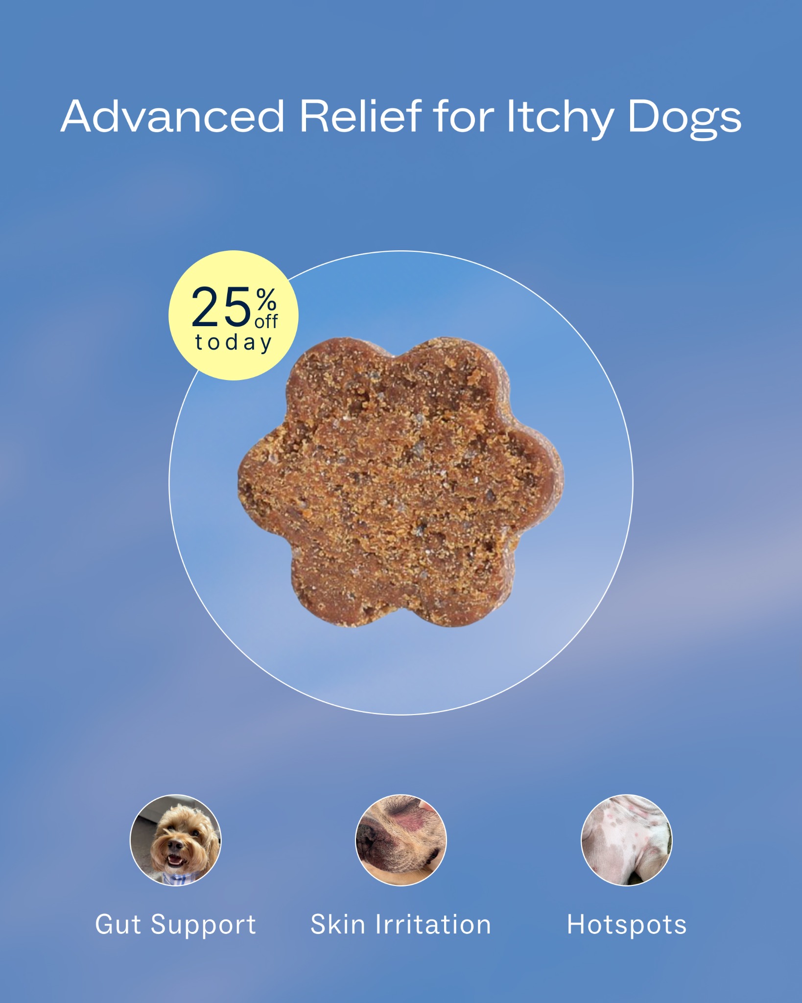 Dog is Human Facebook ad