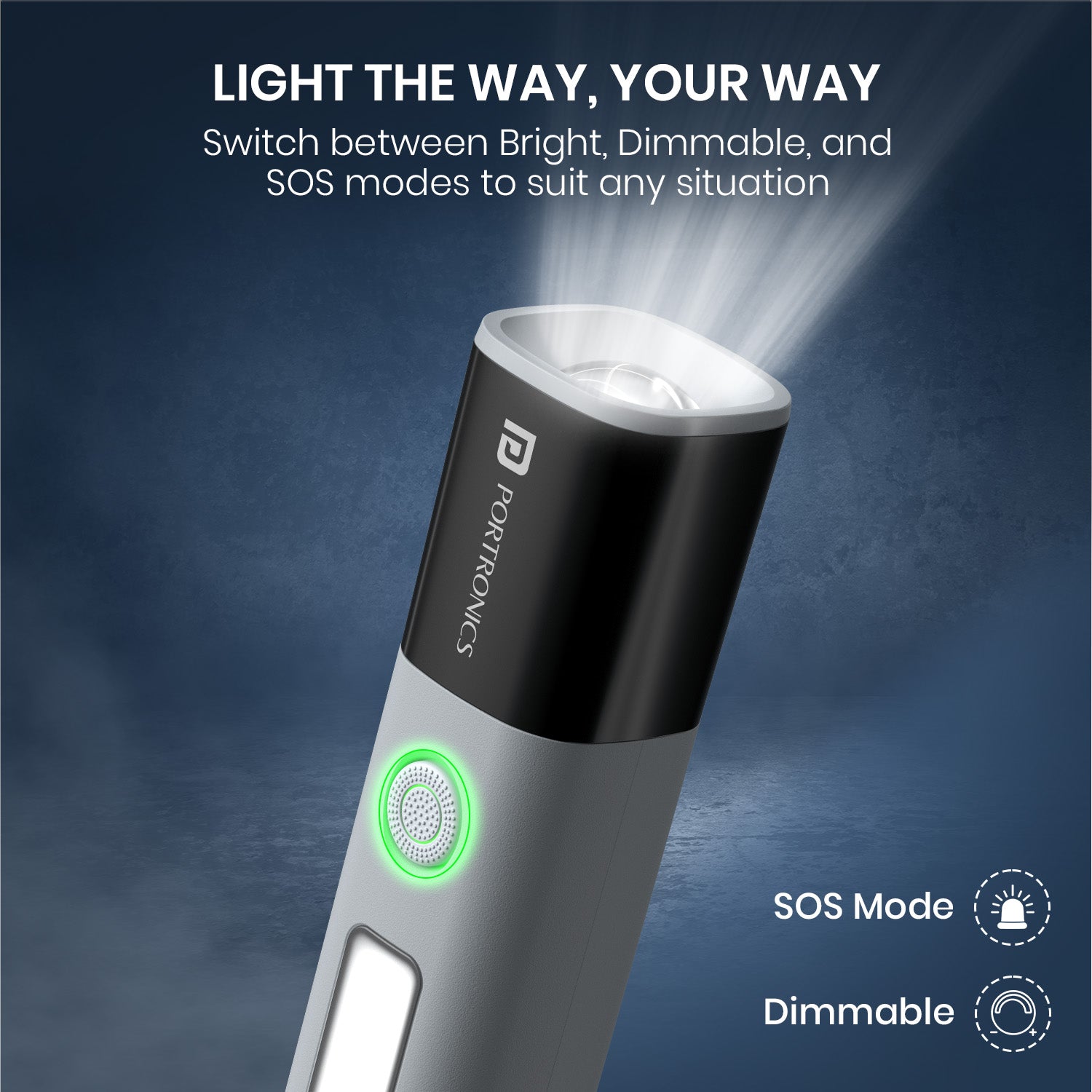 Portronics Facebook ad