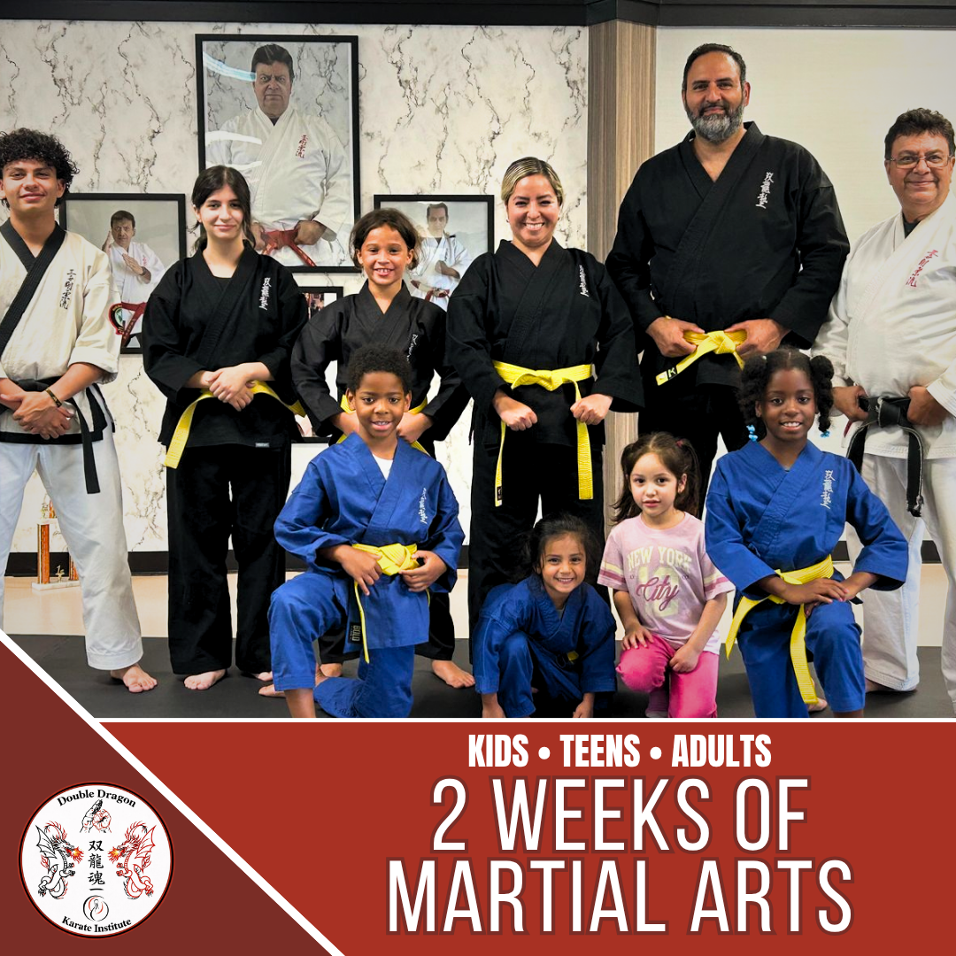 Double Dragon Karate Institute Facebook ad: Why Sunrise Parents Are Making the Switch
