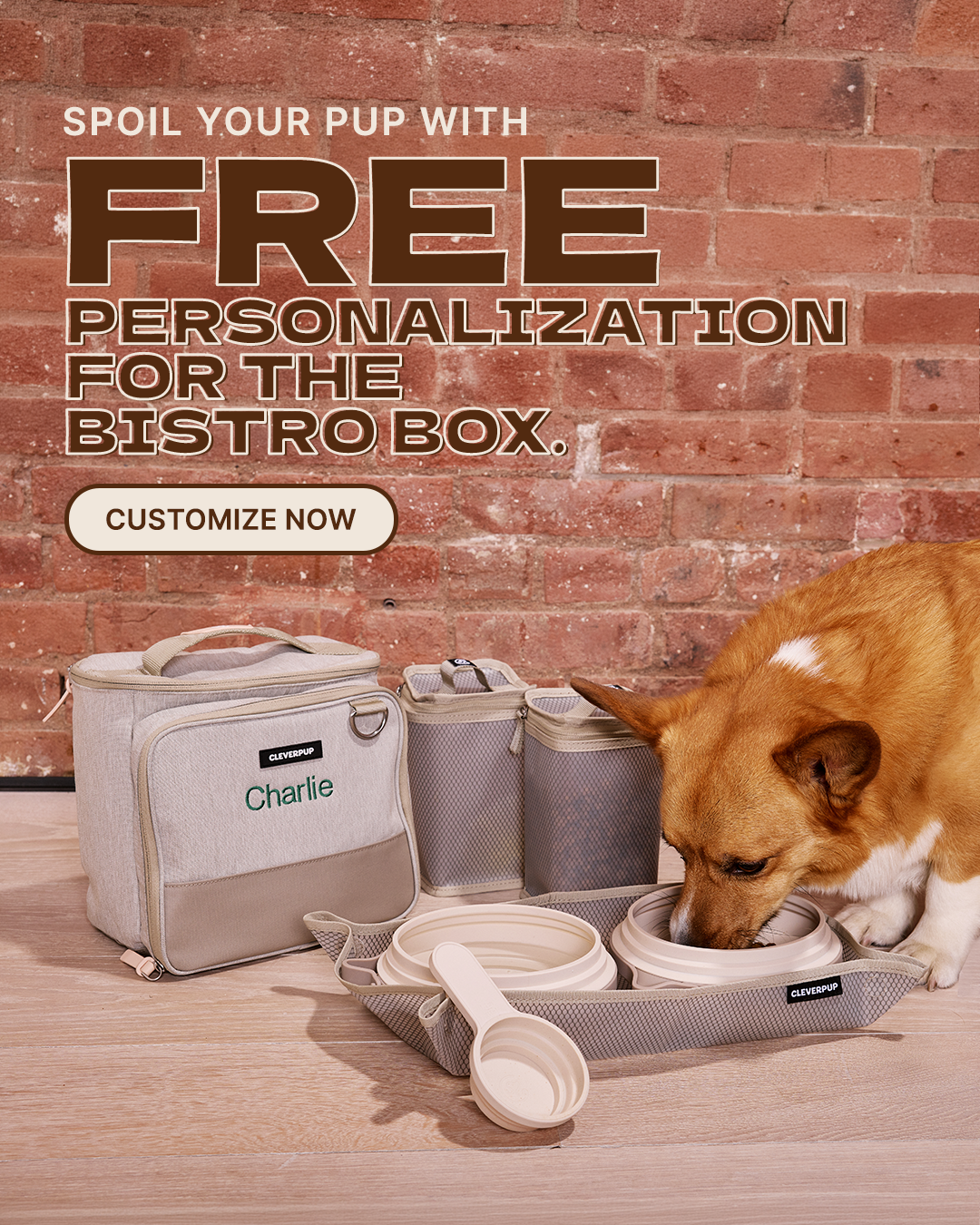 Cleverpup Facebook ad