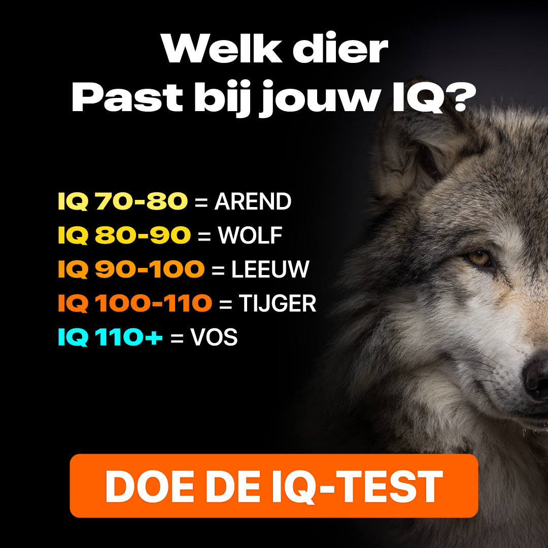 My IQ Facebook ad