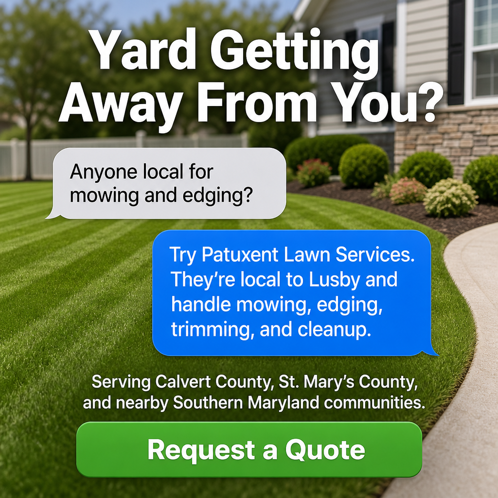Kopa.ai - Your Local Favorites Facebook ad