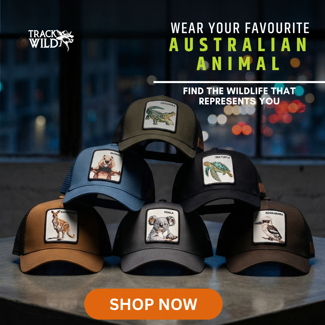 Track Wild Facebook ad from Jun 28, 2026