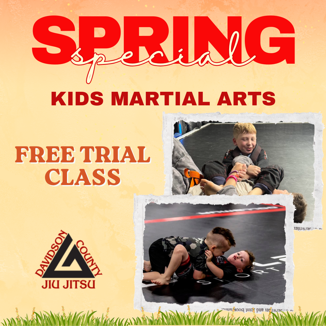 Davidson County Brazilian Jiu Jitsu Facebook ad