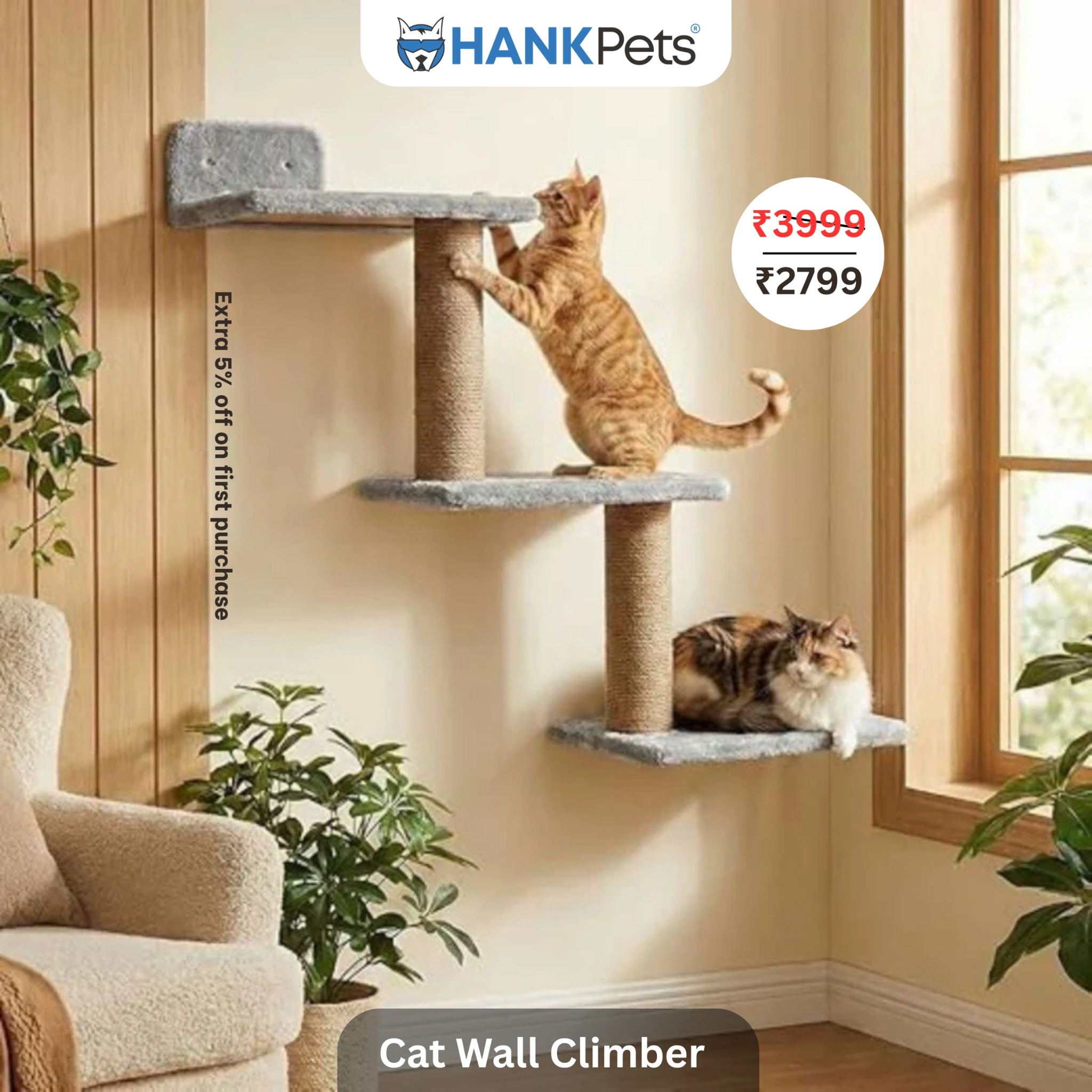 HankPets Facebook ad