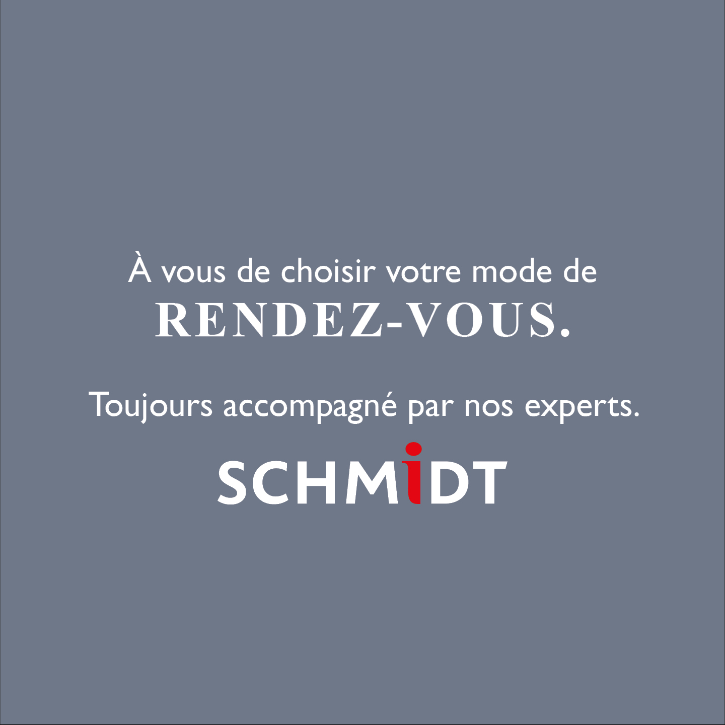 Schmidt Facebook ad