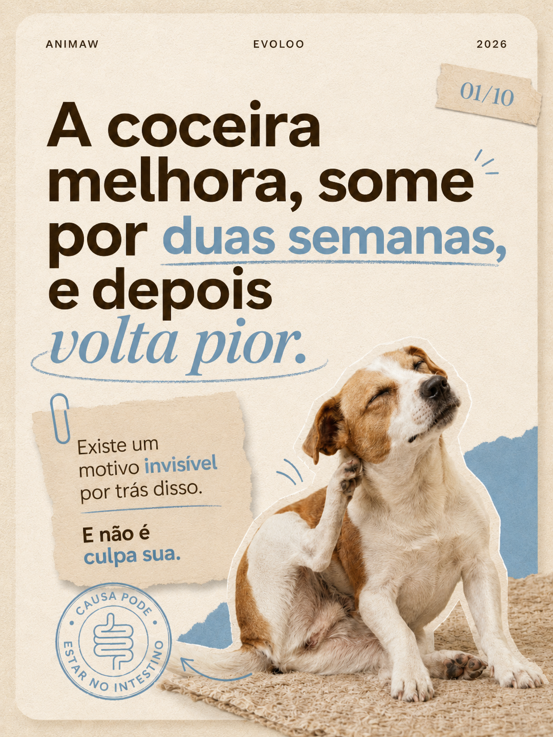 Animaw Suplementos Facebook ad: Seu cachorro melhora por 2 semanas.