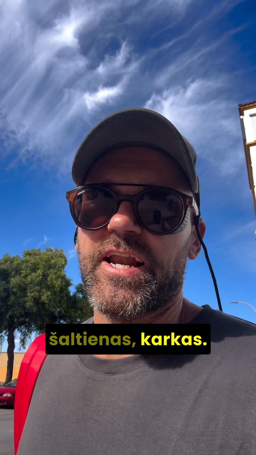 Soulel Facebook ad: Baltymai iš tikro maisto