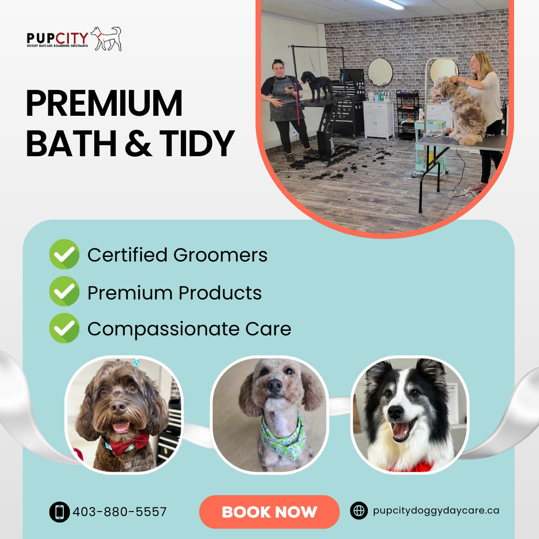 Pup City Doggy Daycare Facebook ad
