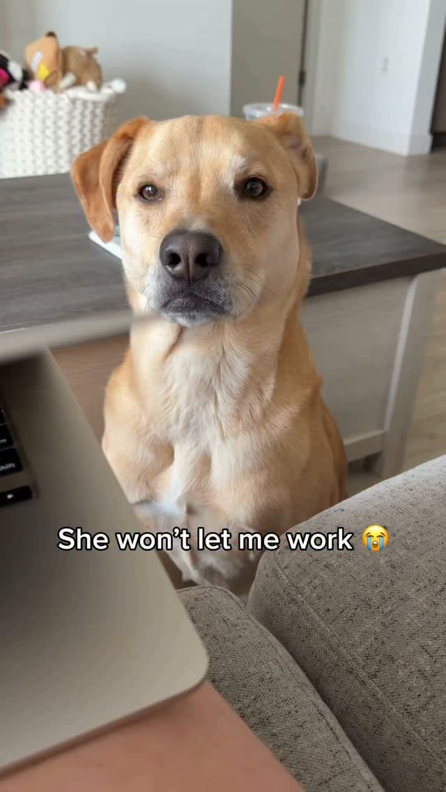 Sundays Facebook ad: POV: your coworker files a complaint every time…