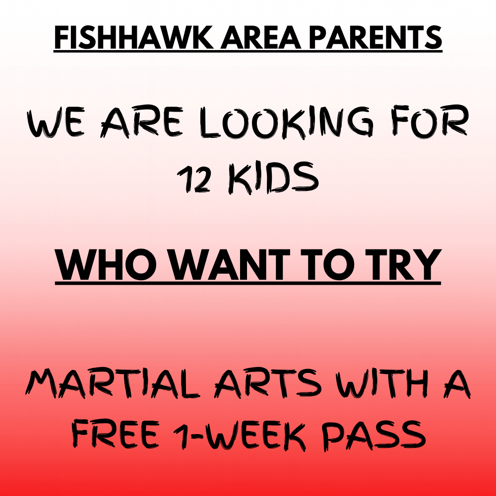 Premier Martial Arts - 16321 FishHawk Boulevard, Lithia Facebook ad