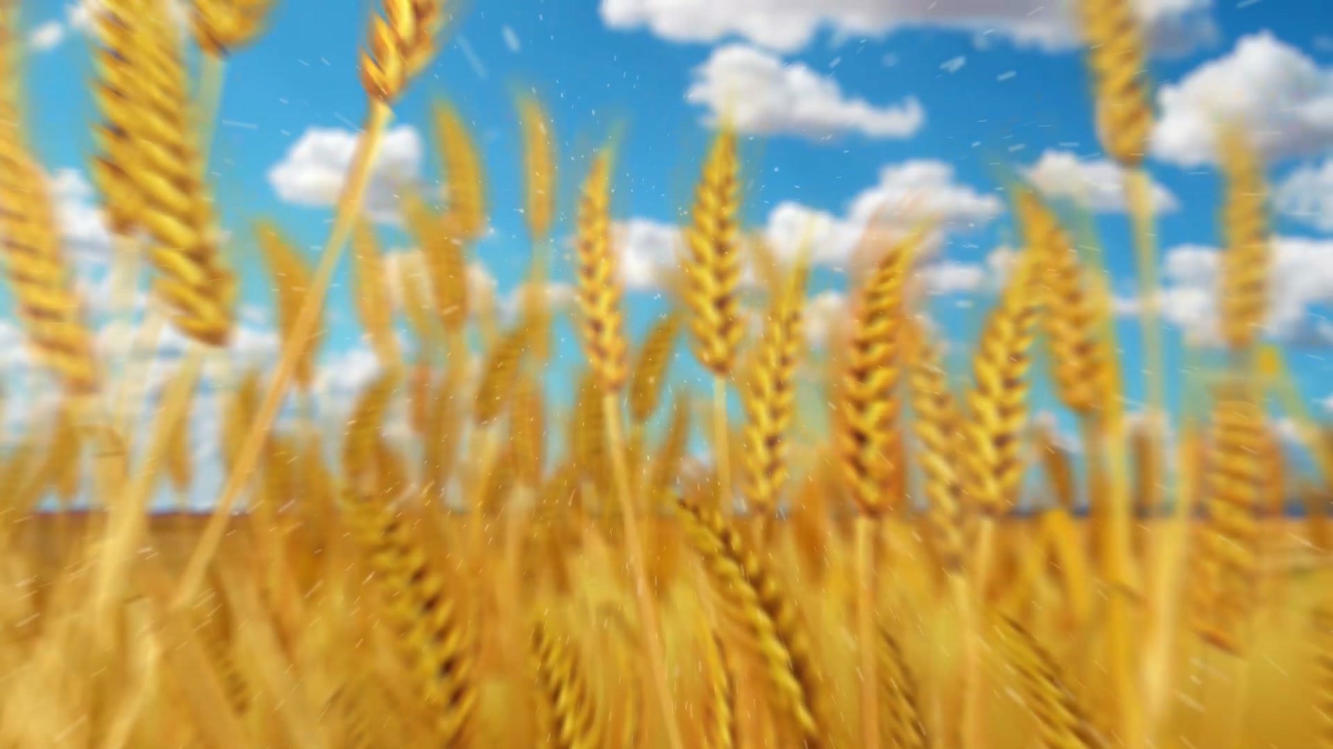 High Plains Bank Facebook ad: Aquí desde siempre