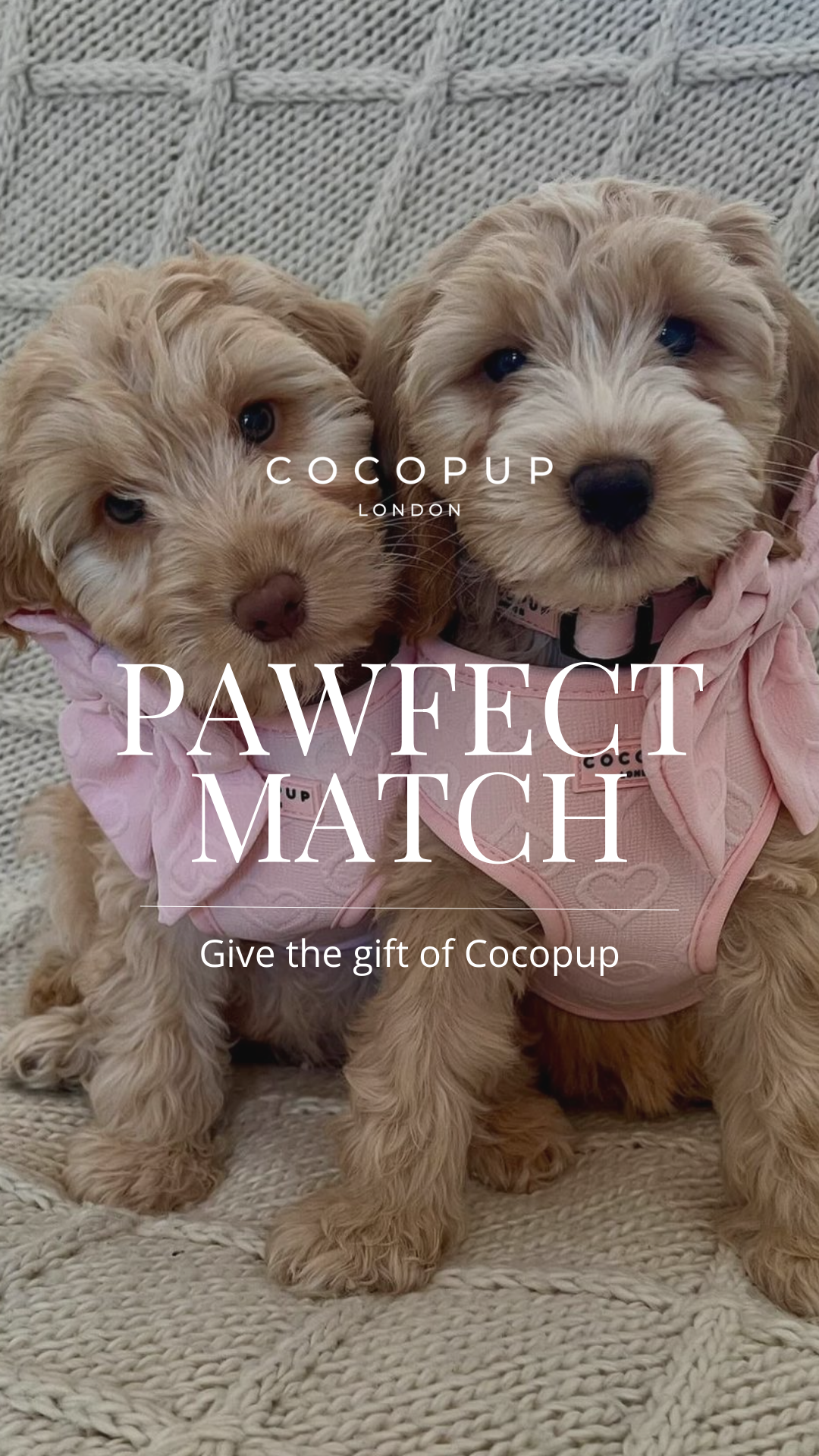 Cocopupuk Facebook ad
