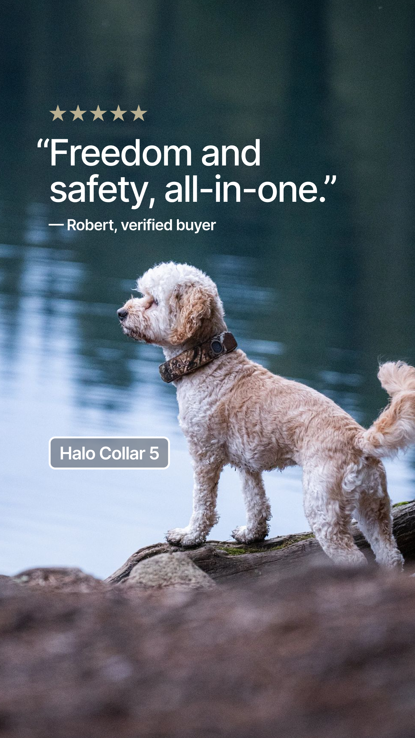 Halo Collar Facebook ad