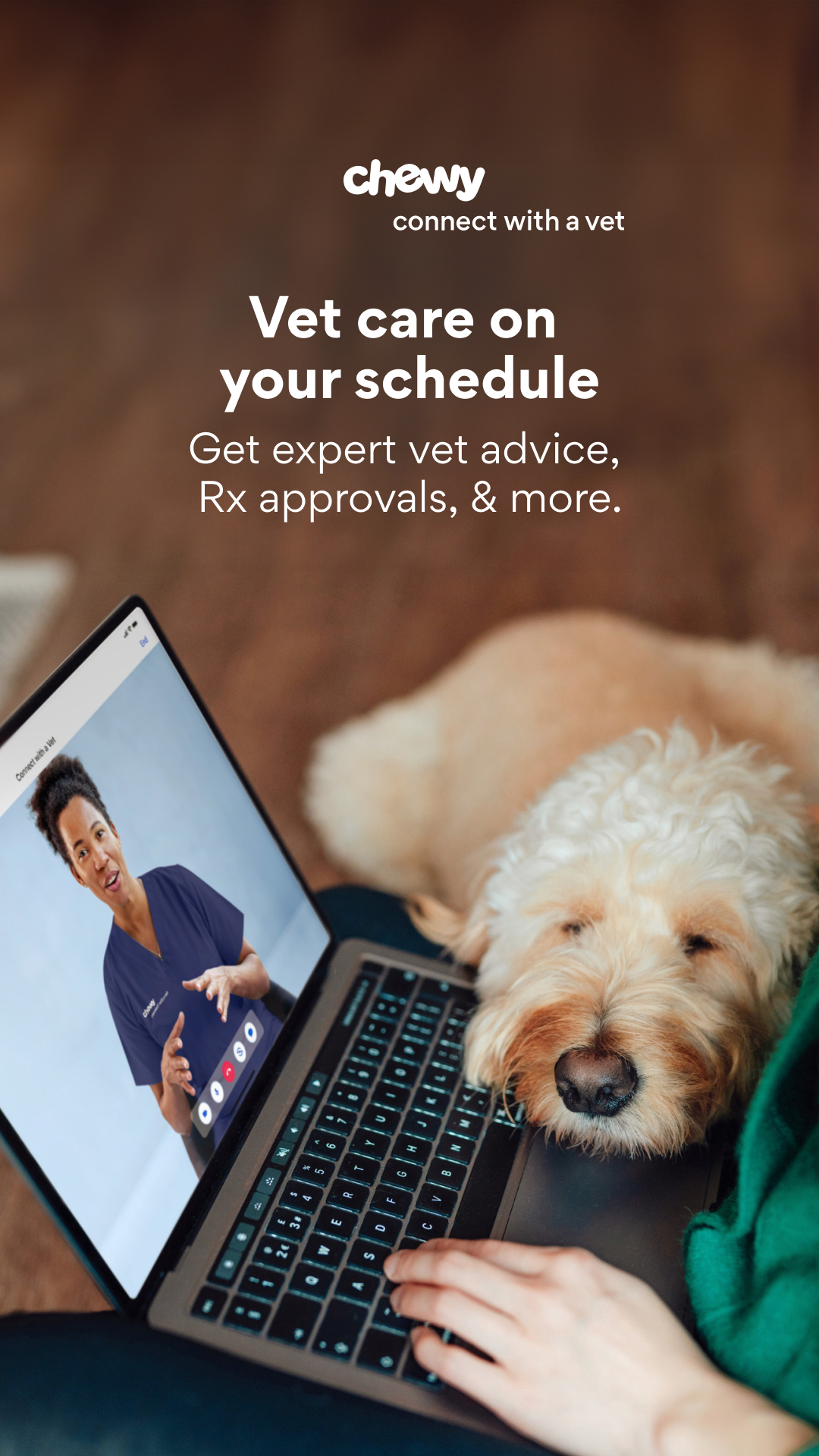Chewy Facebook ad