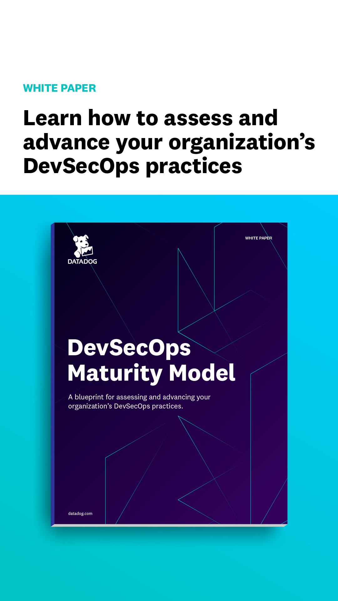 Datadog Facebook ad