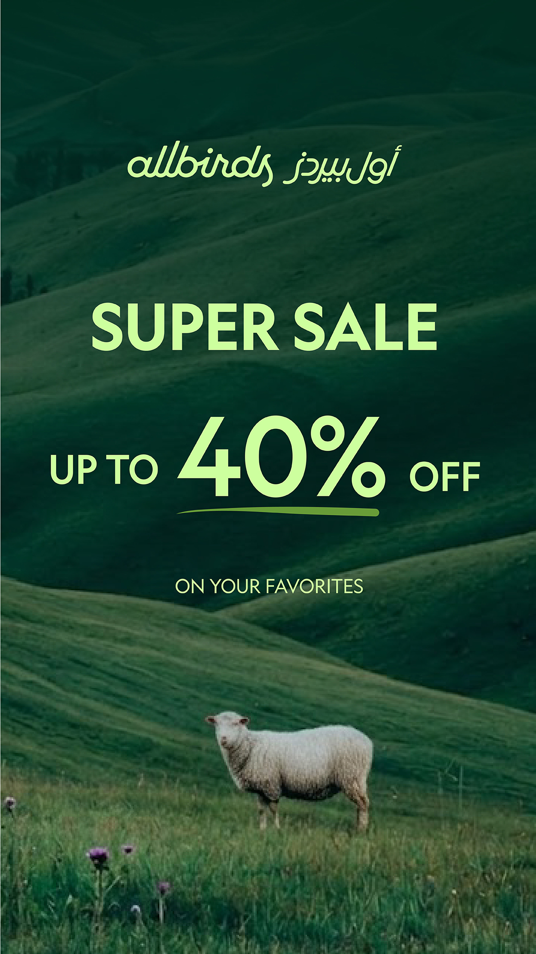 Allbirds ME Facebook ad