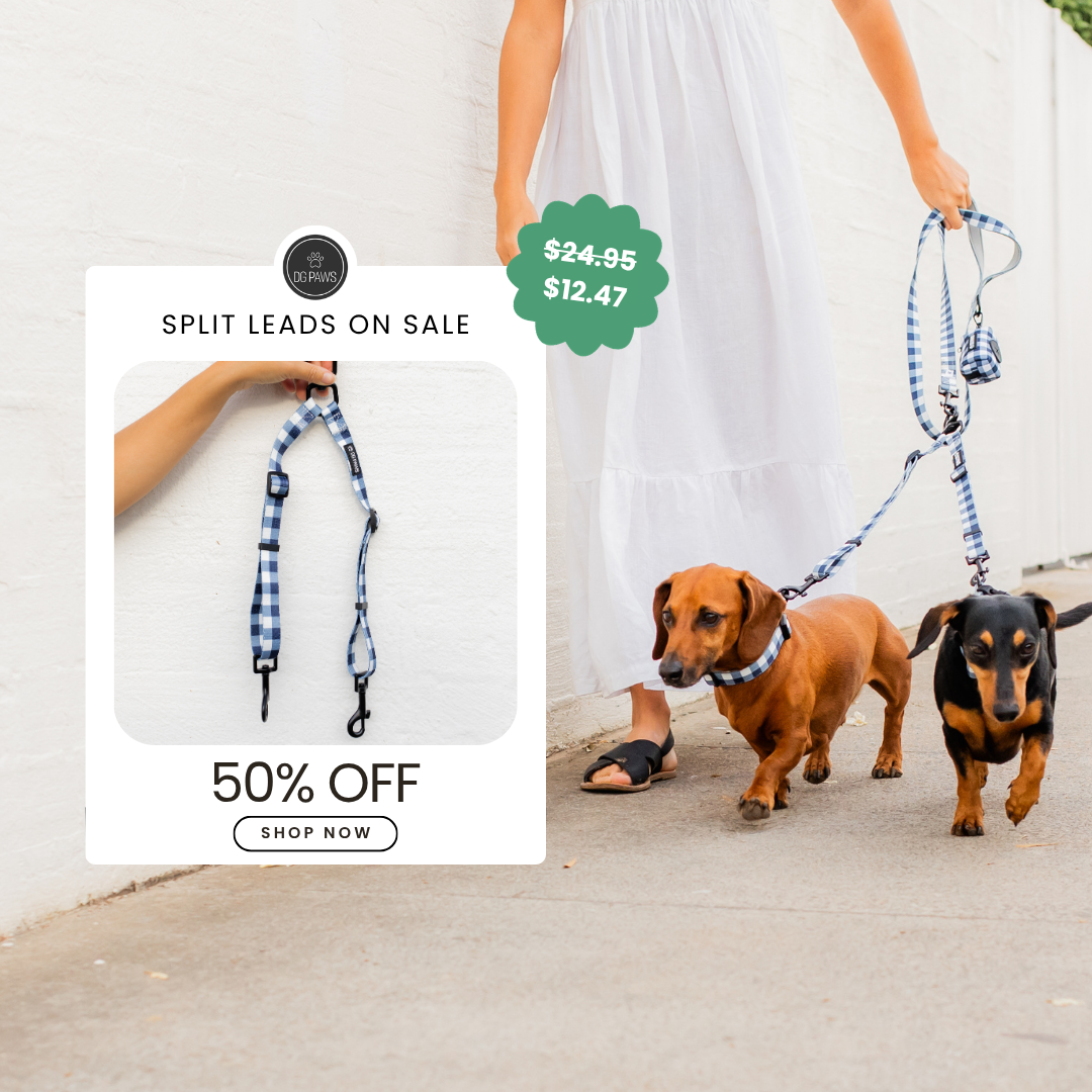DG PAWS Facebook ad
