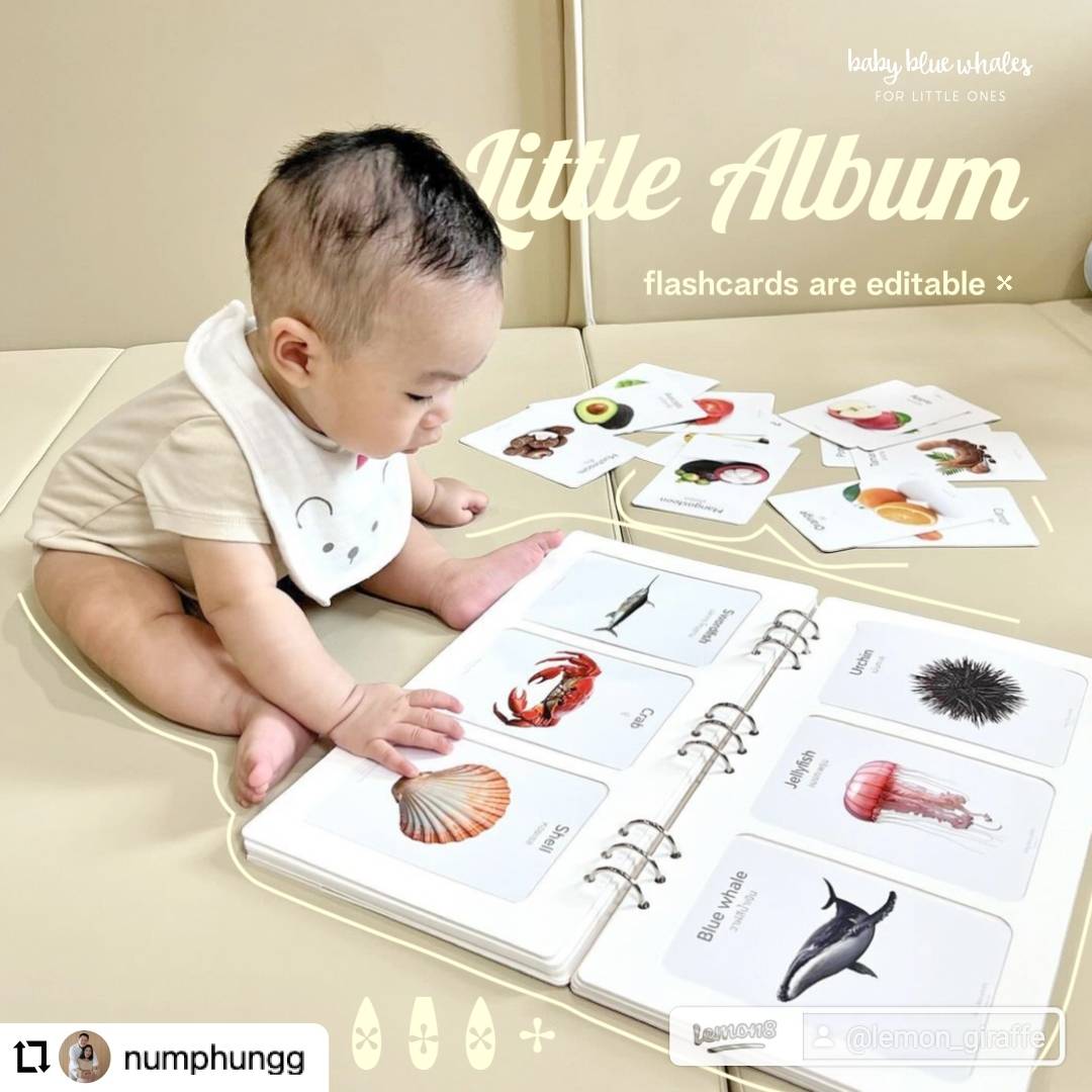 Baby Blue Whales โปสเตอร์เด็กใส่ชื่อได้ Personalized Kids Products Facebook ad: เปิดตัวสินค้าใหม่ Little Album ที่เต็ม…