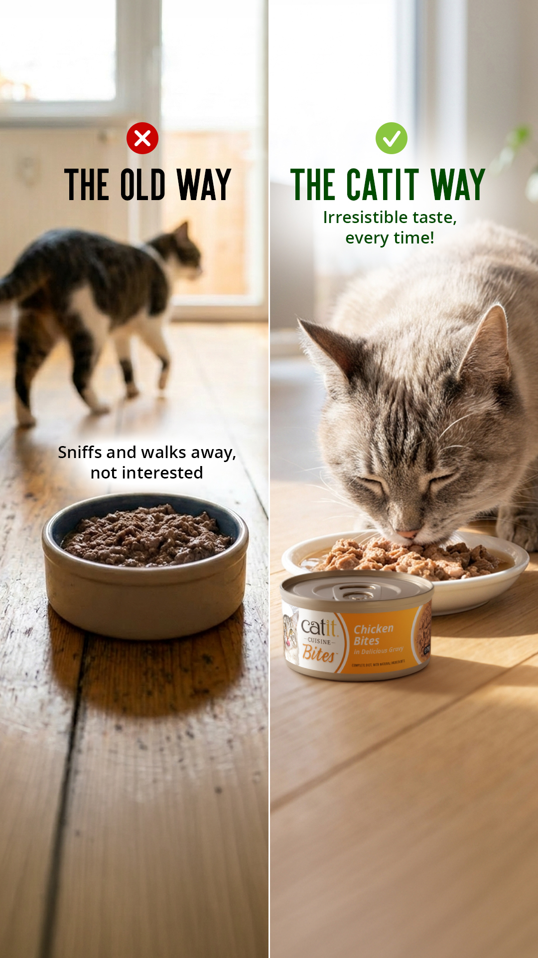 Catit UK Facebook ad