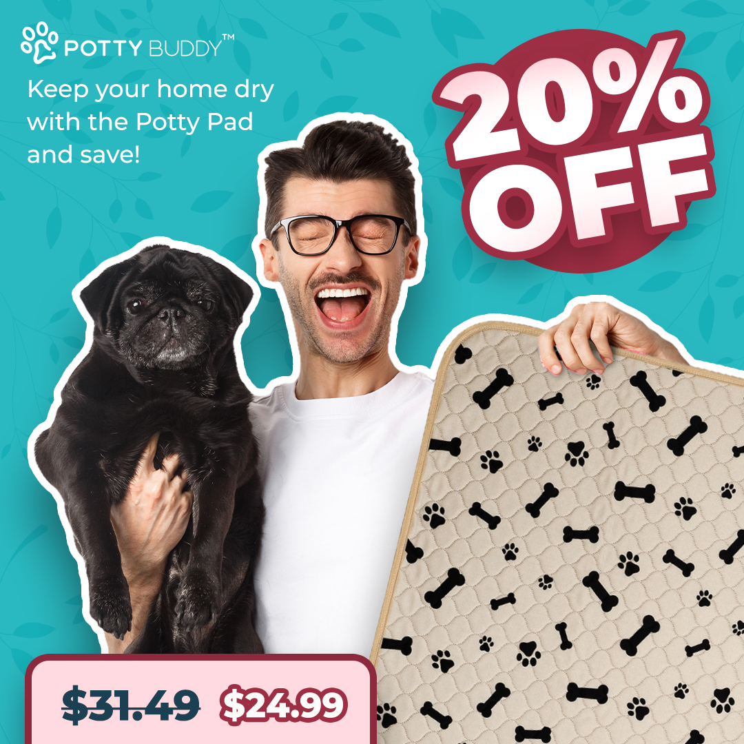 Potty Buddy Facebook ad
