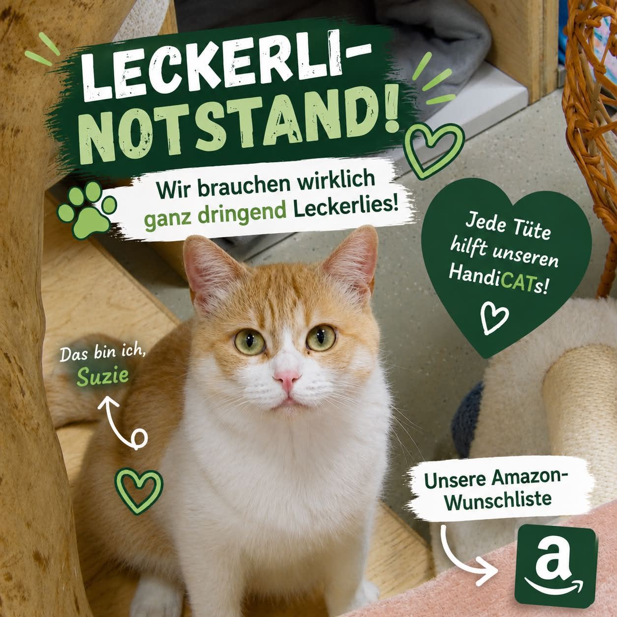 Paradies für Handicats Katzenhoffnung Facebook ad: Sieh dir meine Liste bei Amazon an!
