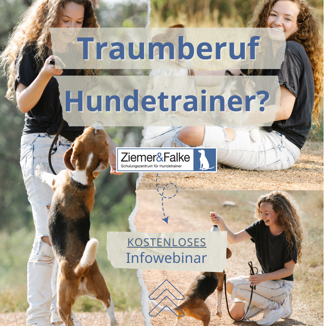 Ziemer & Falke - Schulungszentrum für Hundetrainer Facebook ad
