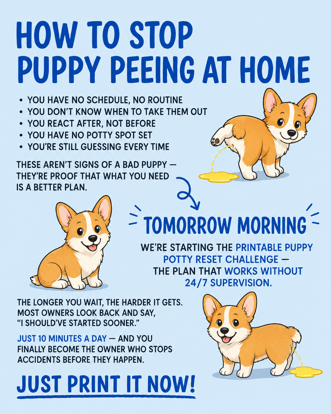 Ben Your Puppy Trainer Facebook ad
