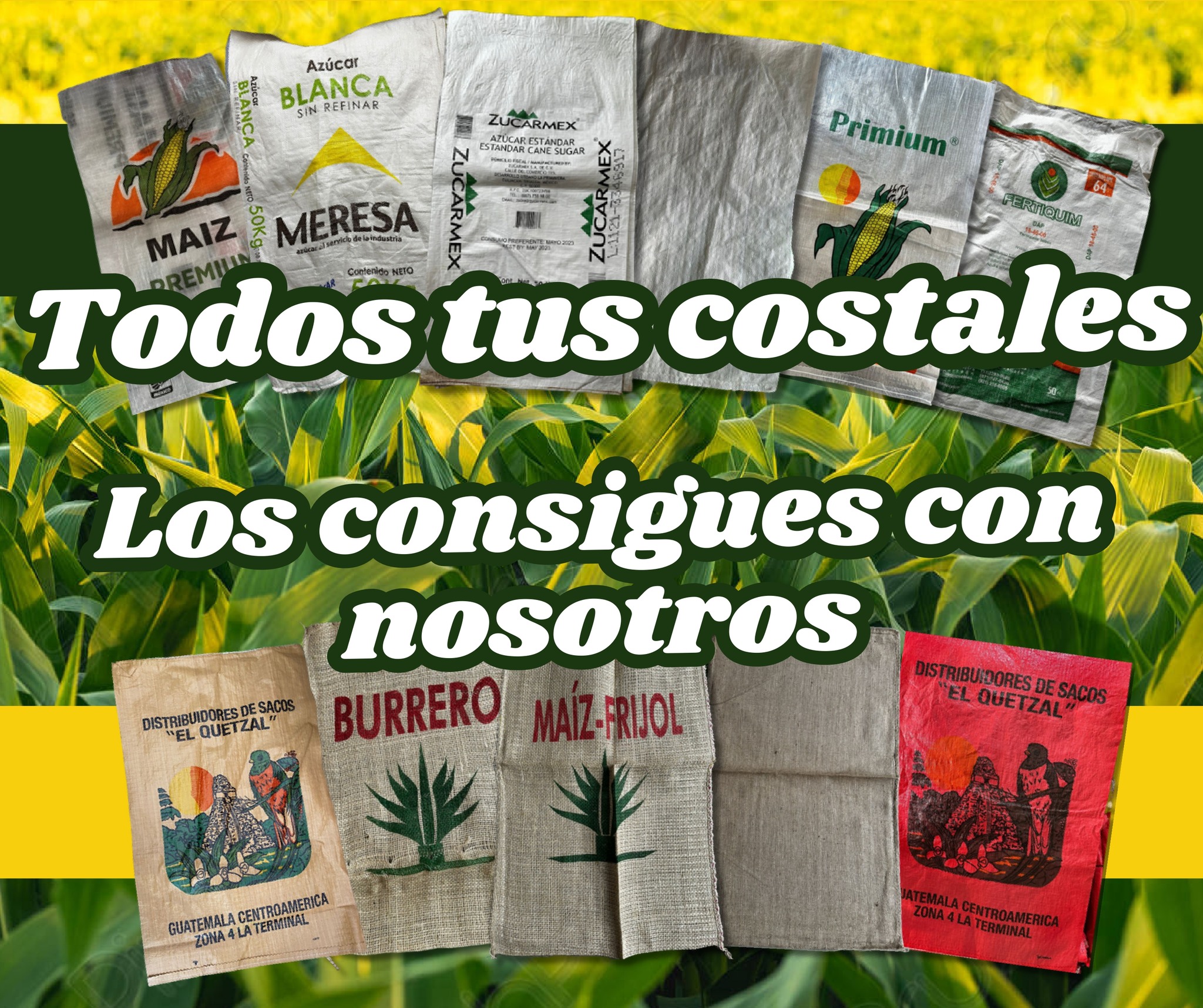 Costales Tuxtla Facebook ad