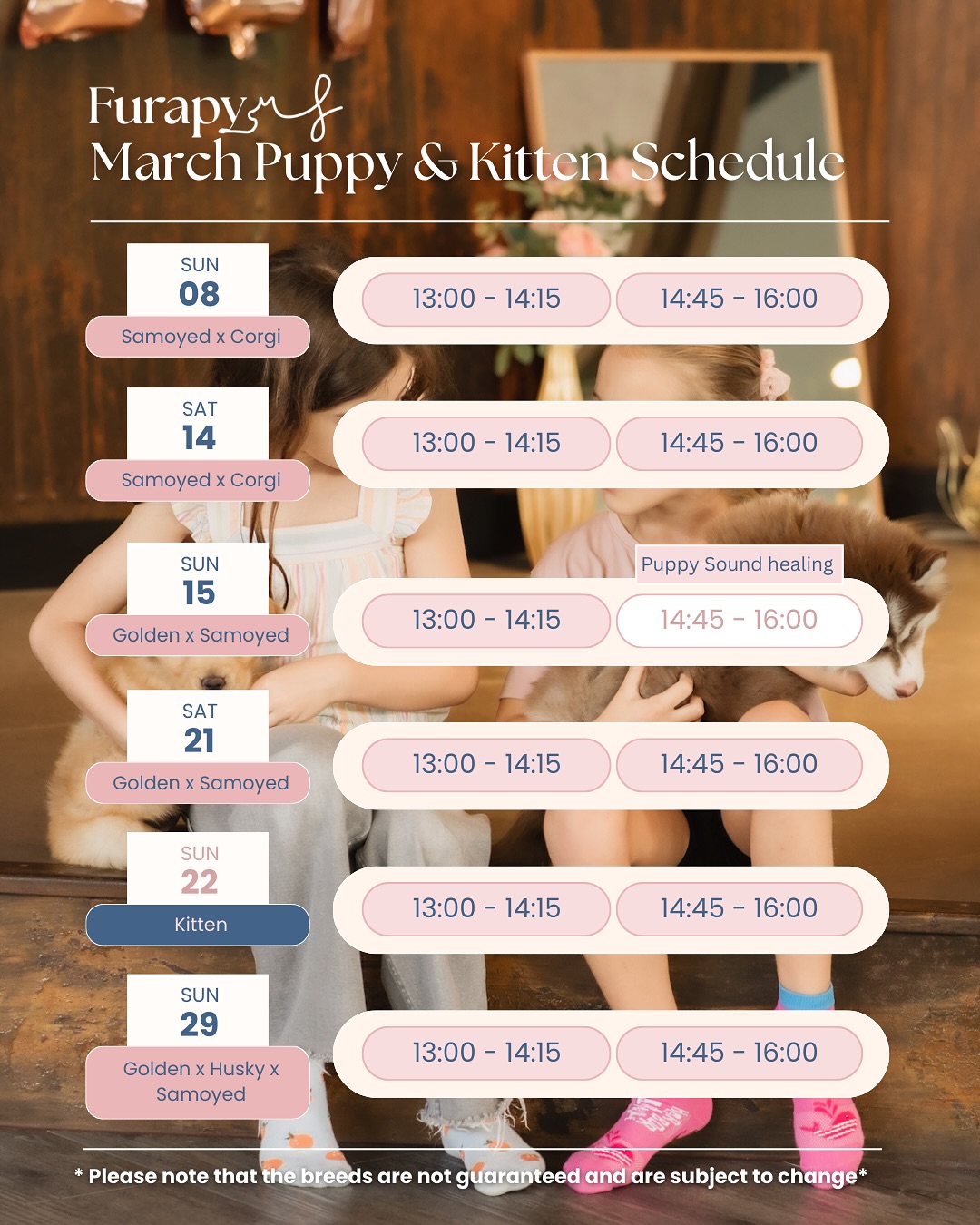 Furapy Bangkok Facebook ad: Dear puppy and kitten lovers in Bangkok!