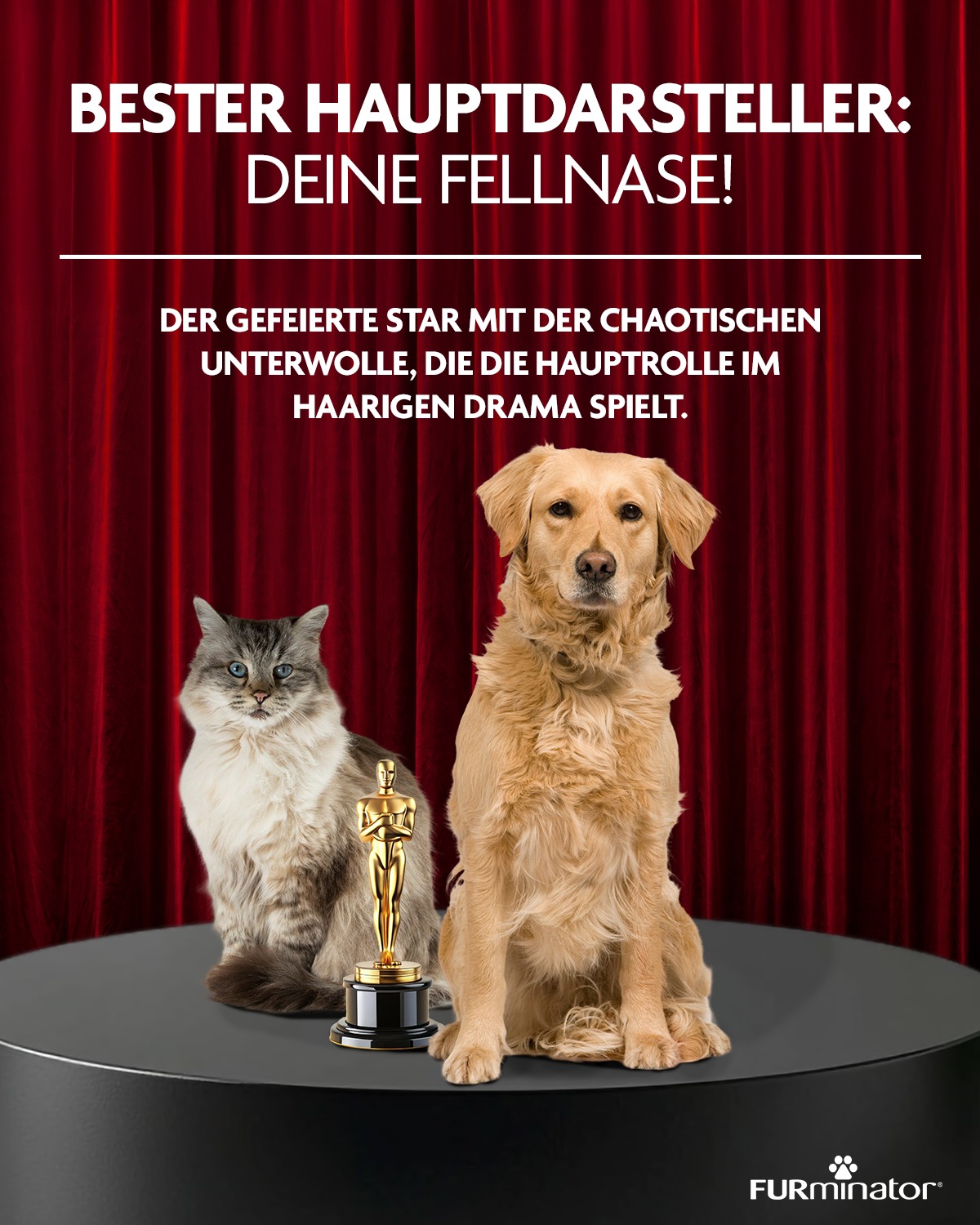 FURminator Deutschland Facebook ad: Die Oscars-Nacht wird haarig!