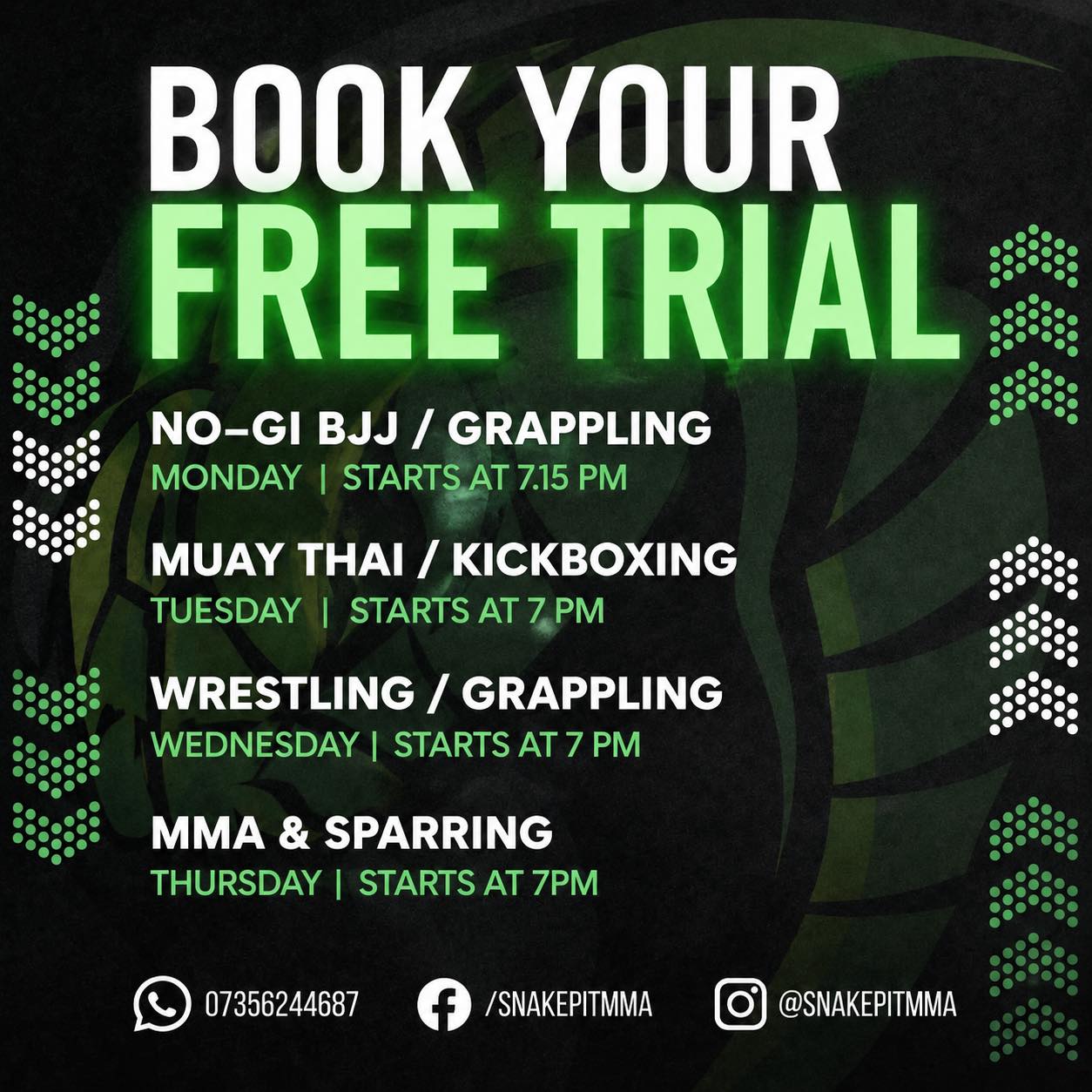 The Snake Pit - Mixed Martial Arts & Fitness Facebook ad