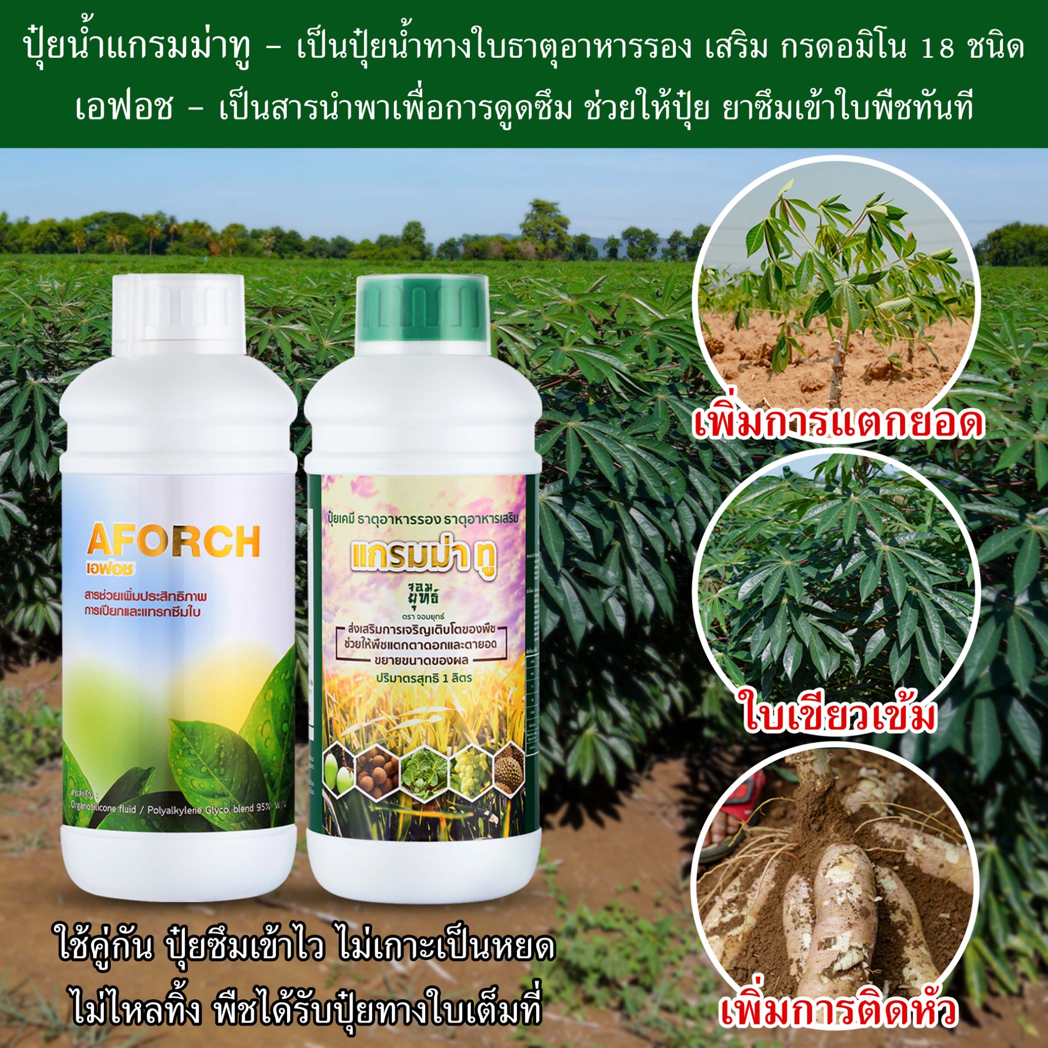 เอฟอช แกรมม่าทู Facebook ad from Apr 21, 2026