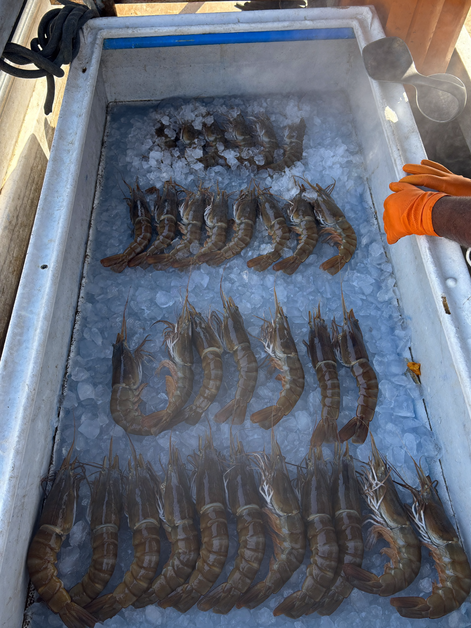 Lenny Robinson Facebook ad: This tool would've saved me 800 pounds of shrimp